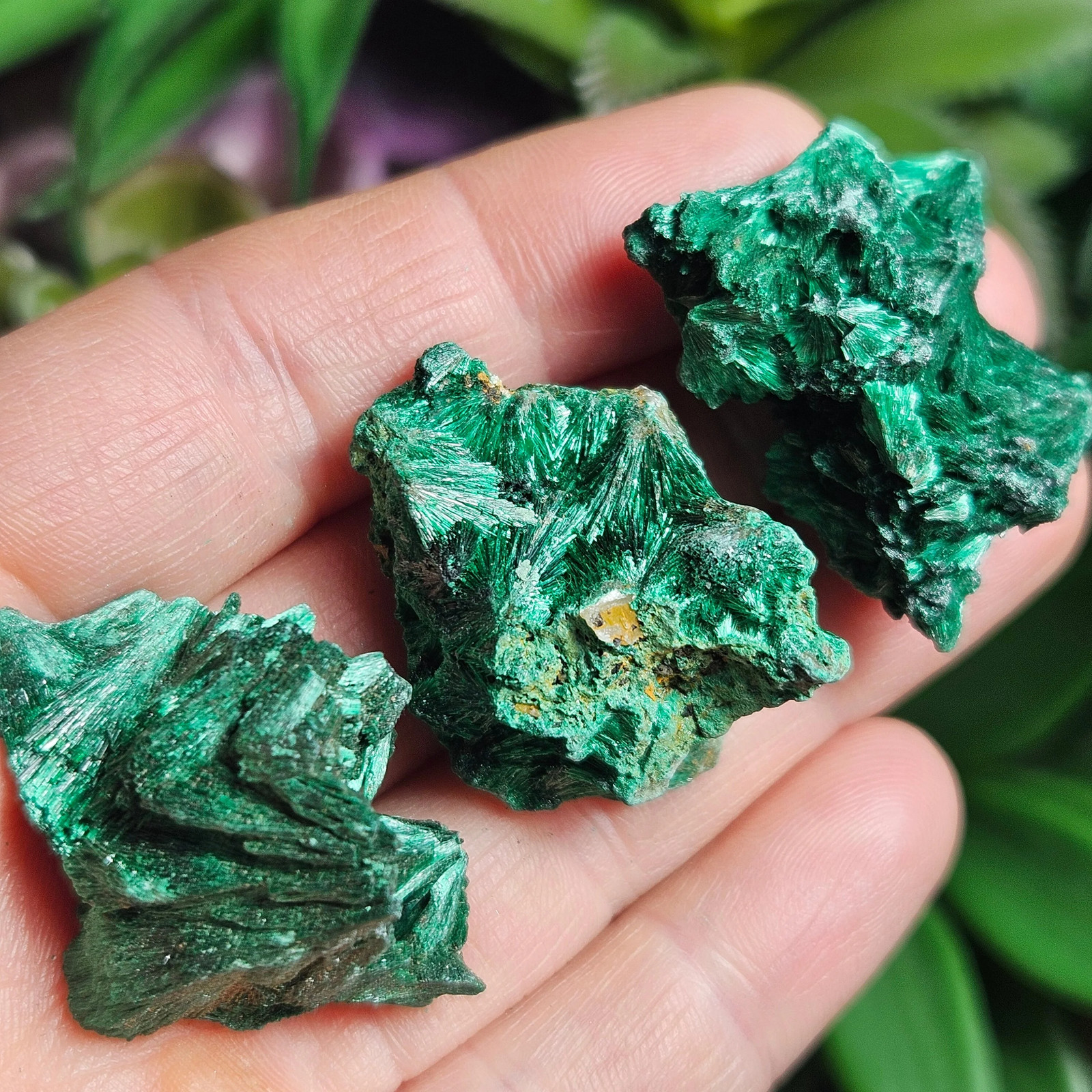 Fibrous Malachite