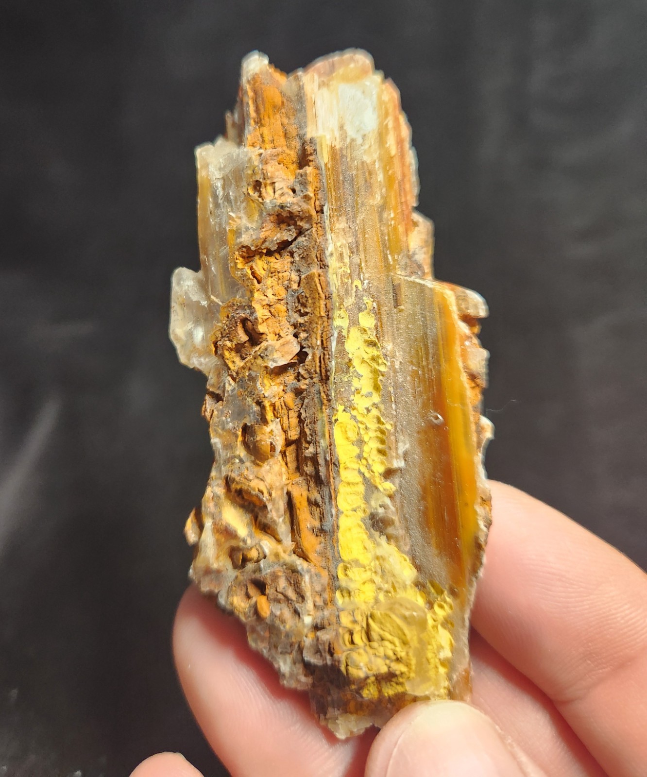 Selenite w/ Jarosite – Lavrion, Greece – Small Cabinet – Yellow Crevasse –