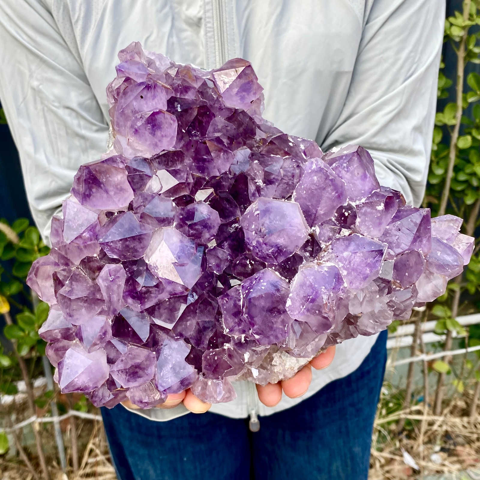 8.8LB Natural Amethyst geode quartz cluster crystal specimen Healing