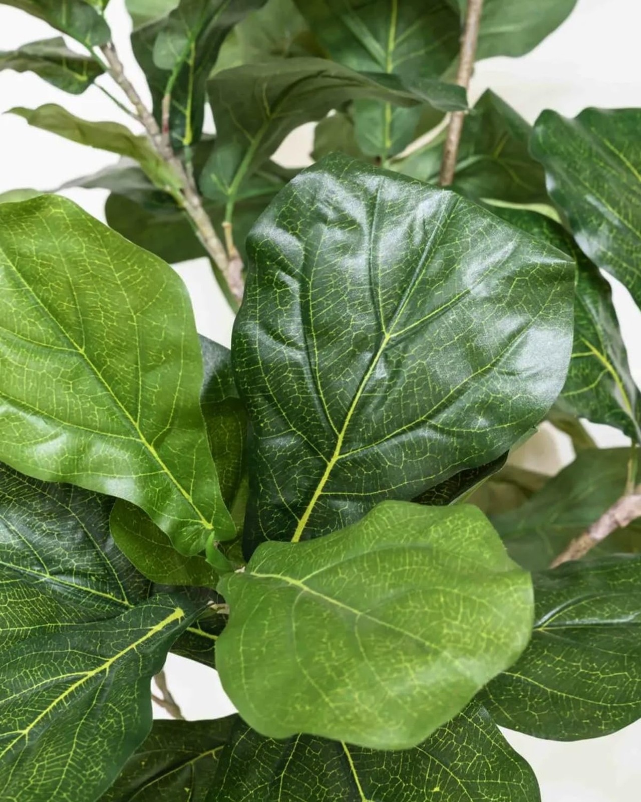 Artificial Fiddle Leaf Fig Tree 6FT – Large Fake Trees with White Planter, Ta…