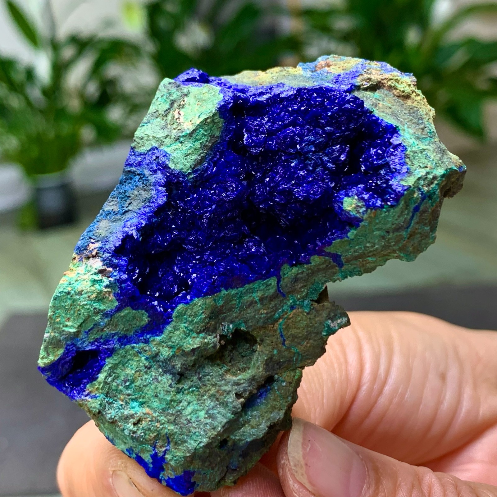101G BEST Natural Azurite/Malachite crystal minerals specimens