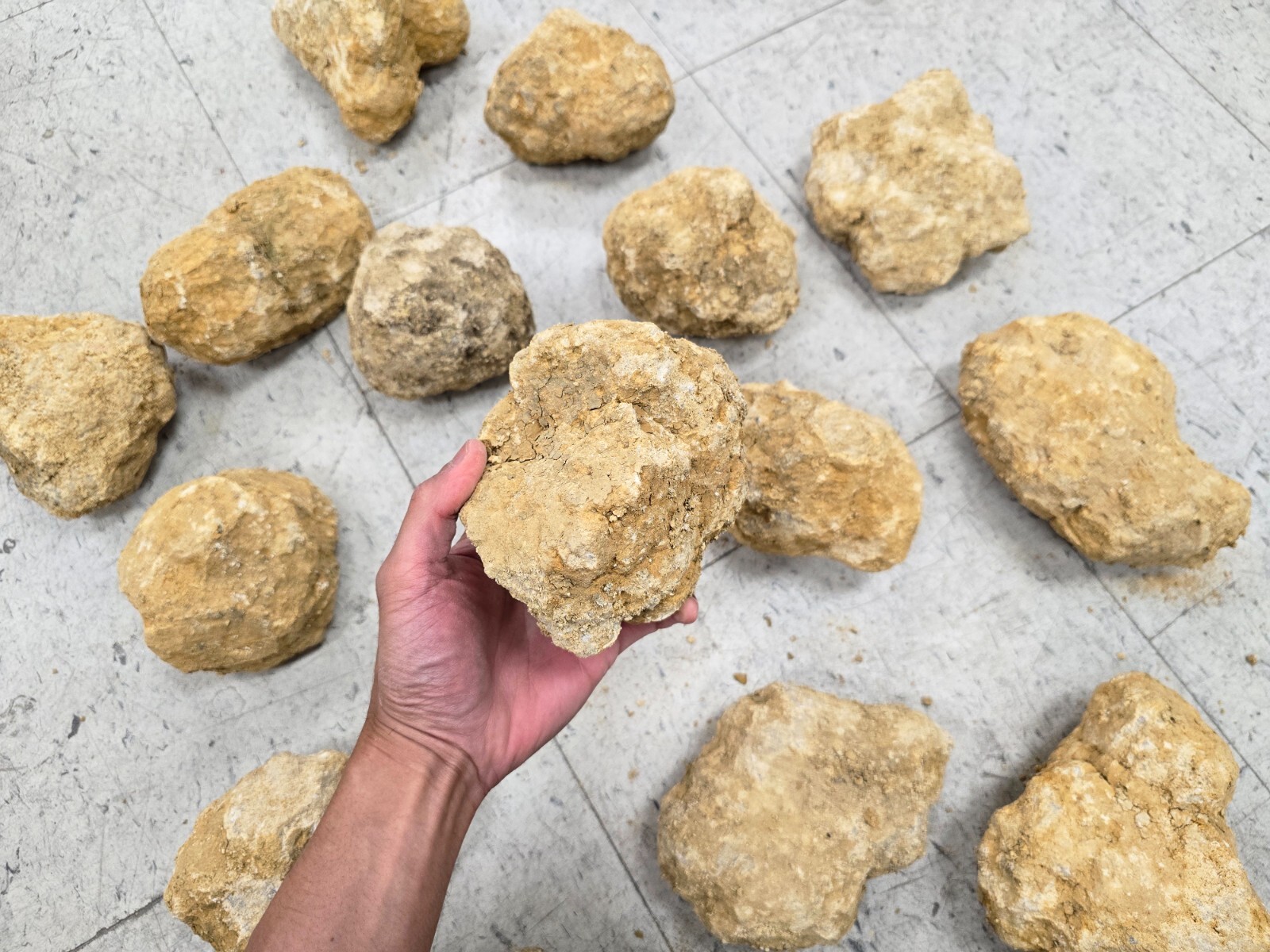 JUMBO Geode Break Your Own Unopened Quartz with Sparkly Quartz Inside Fun Gift