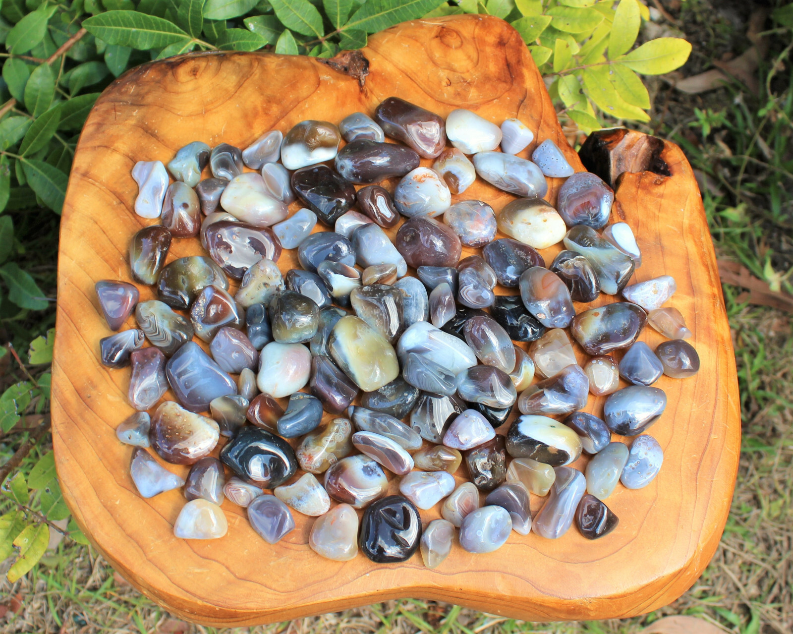 2 oz Lot Botswana Grey Agate Tumbled Stone Crystal Healing Gemstone
