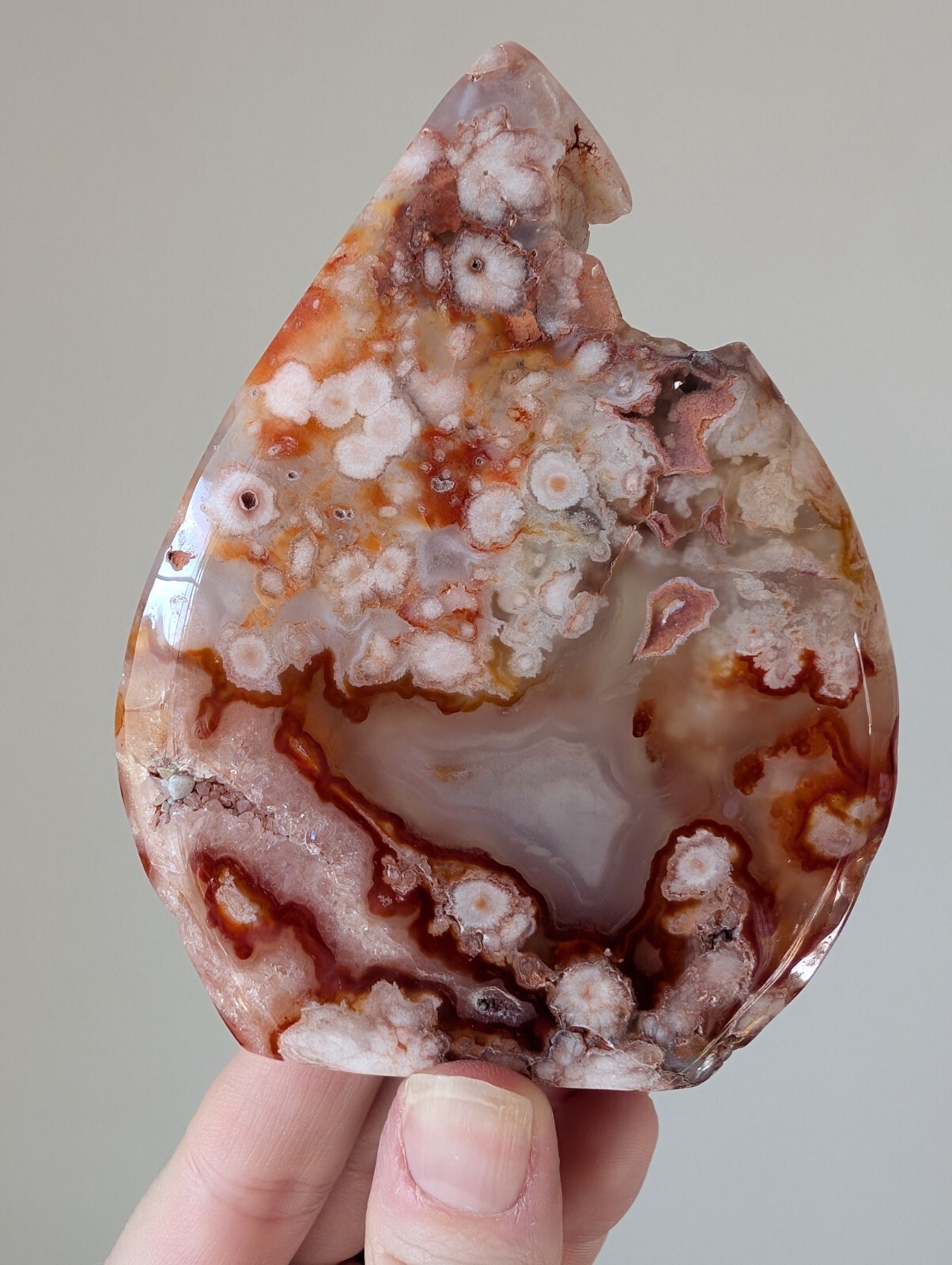 Red Cherry Flower Agate Freeform Ornament Teardrop Crystal Gemstone Chakra