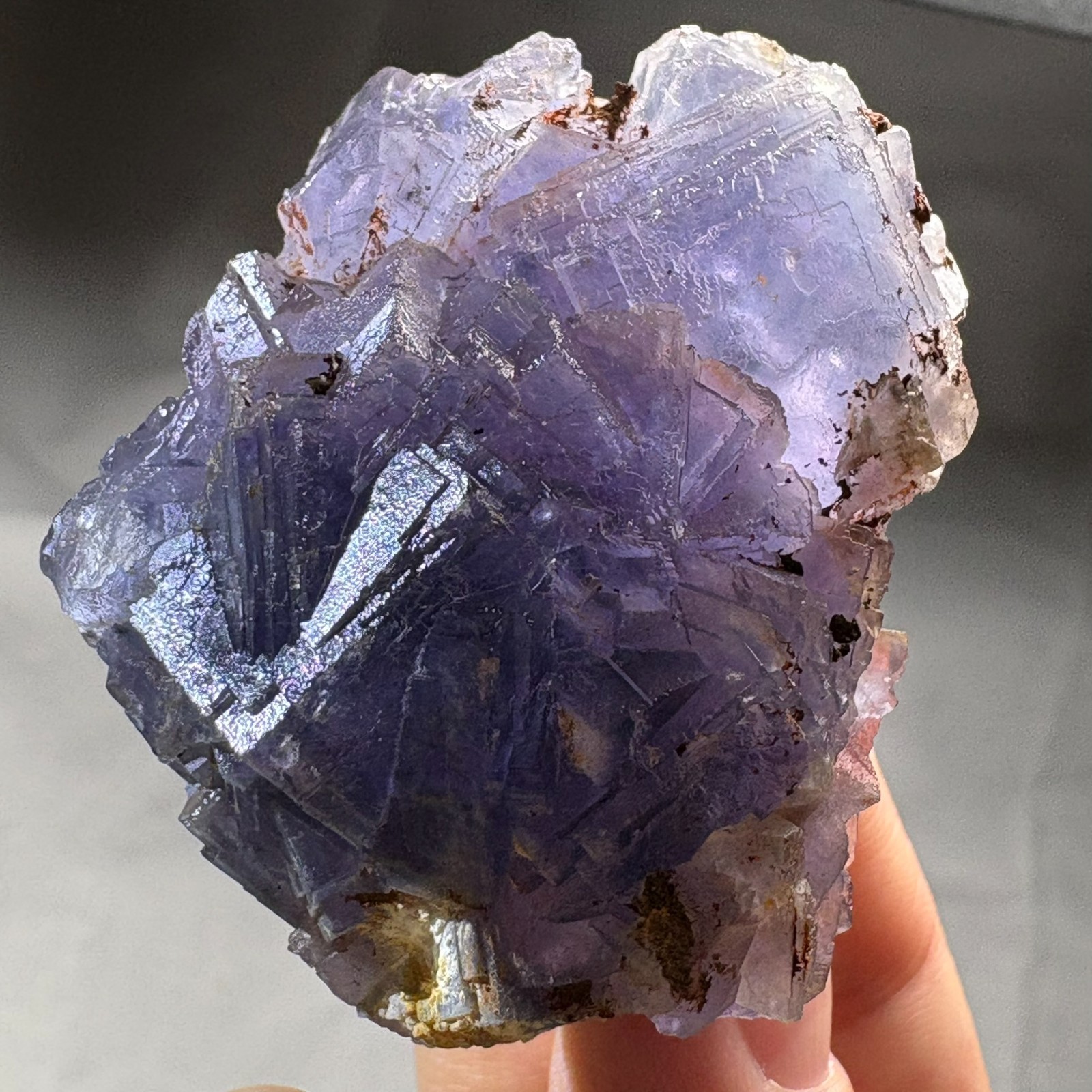 Rare Blue Phantom Fluorite Cluster Stepped Natural Crystal Raw Mineral Specimen