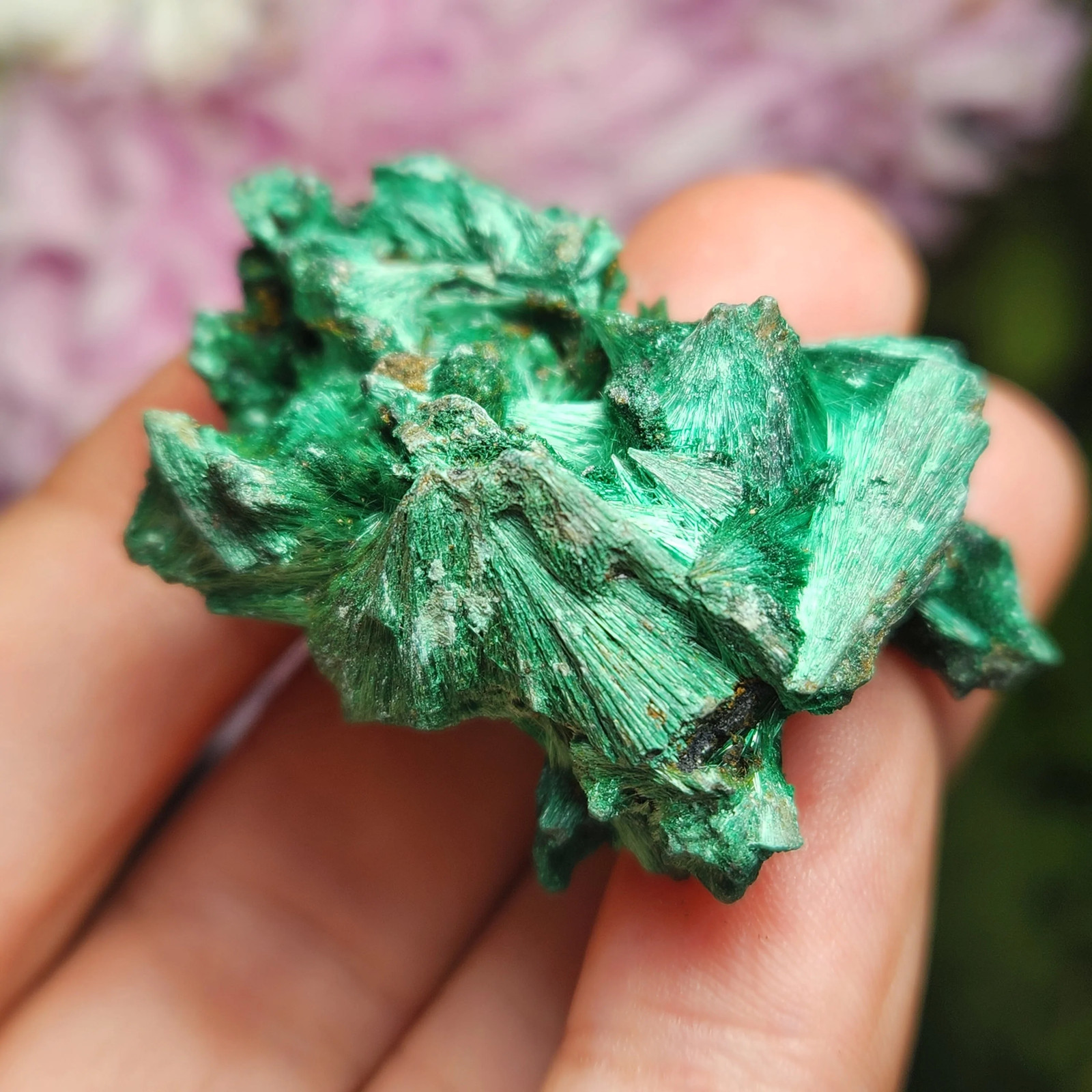Fibrous Malachite
