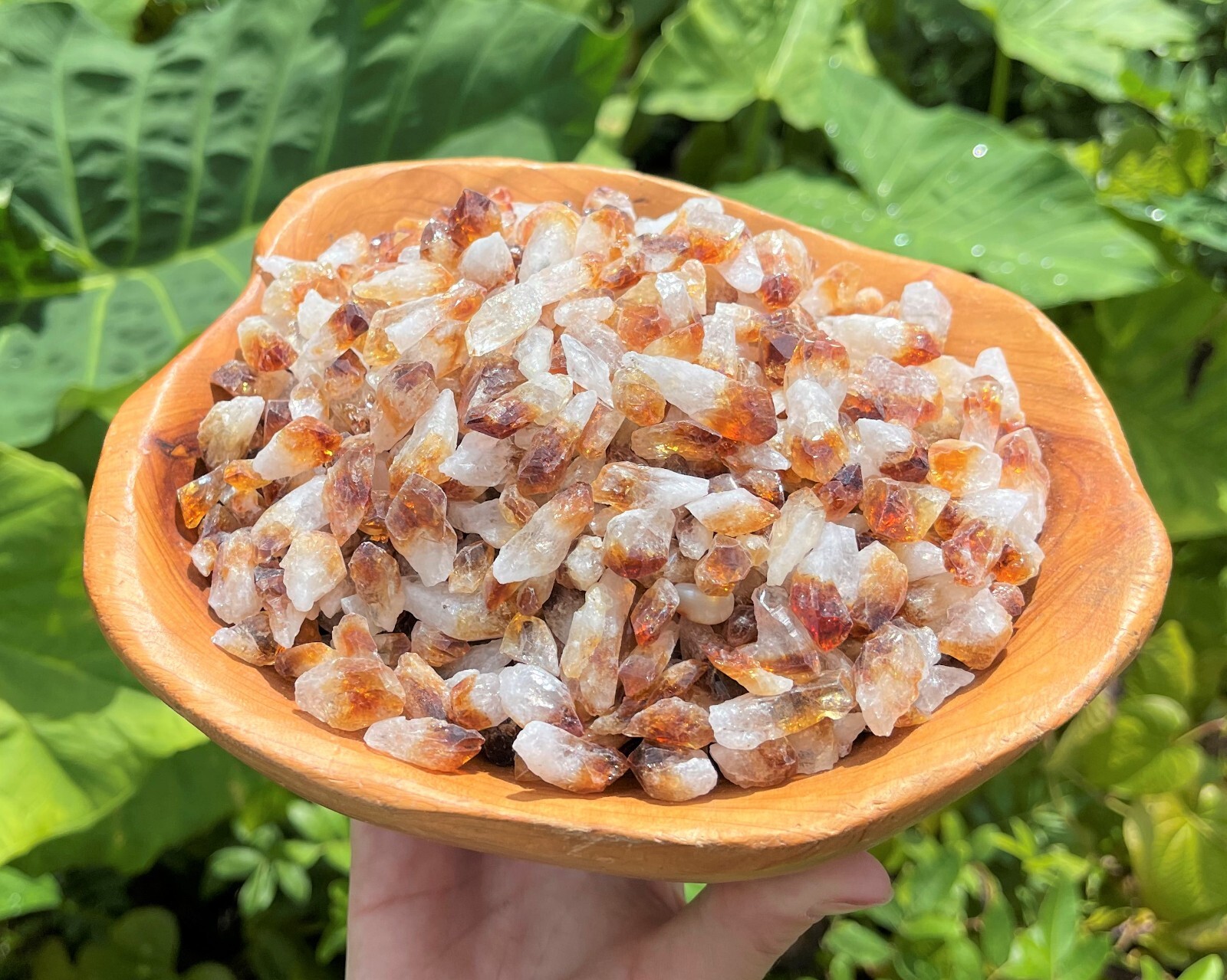 1/2 lb Bulk Citrine Points Crystal Collection in Box (‘A’ Grade Premium Citrine)