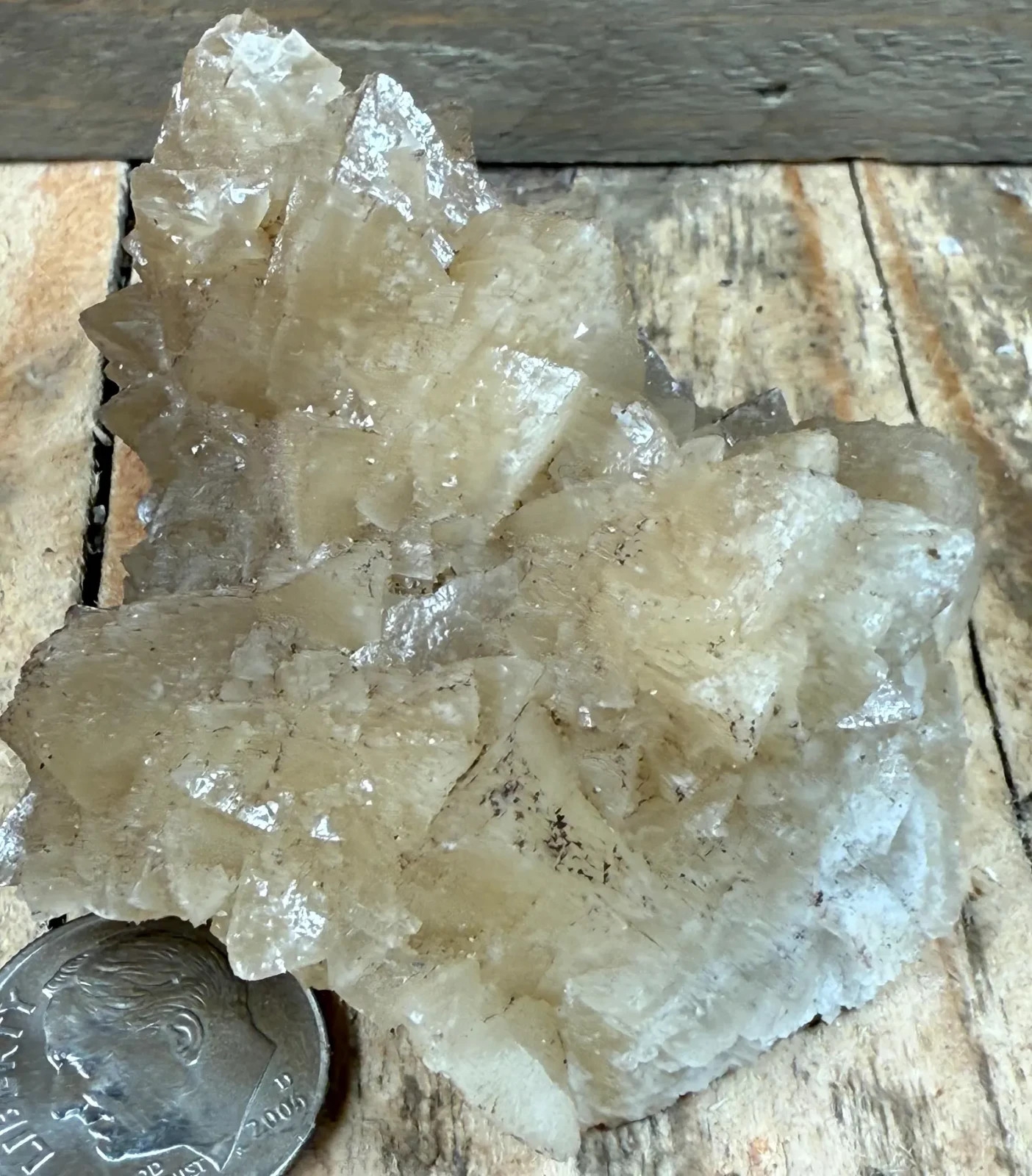 2.1″ Raw Selenite Crystals from Mexico