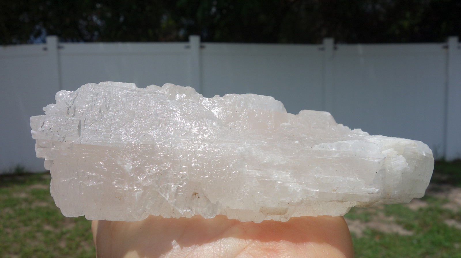 Shiny Large FISHTAIL SELENITE Natural Crystal Point from Naica Mexico For Sale