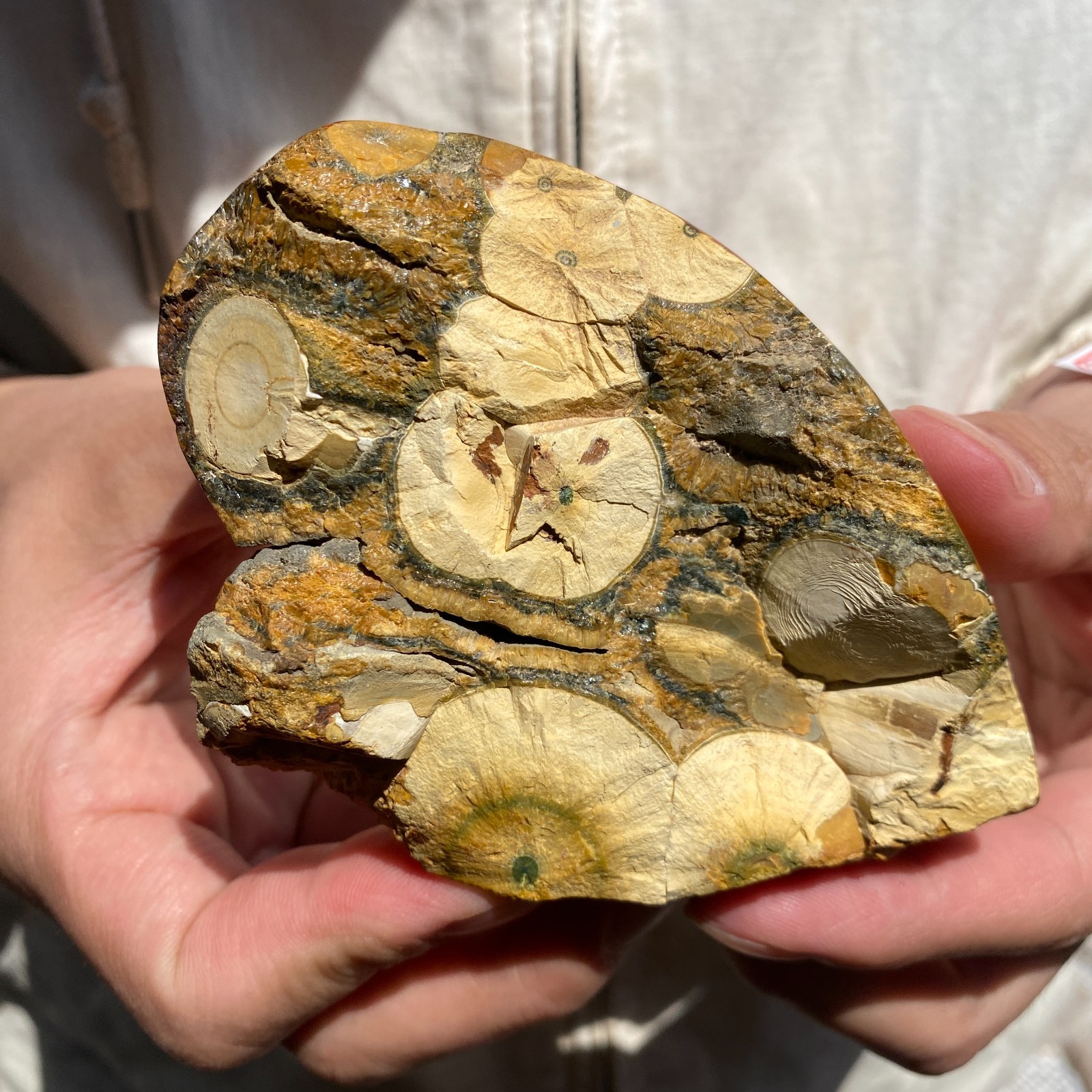 220G Natural high-quality Ocean Jasper Crystal Slice Large Specimen Healing