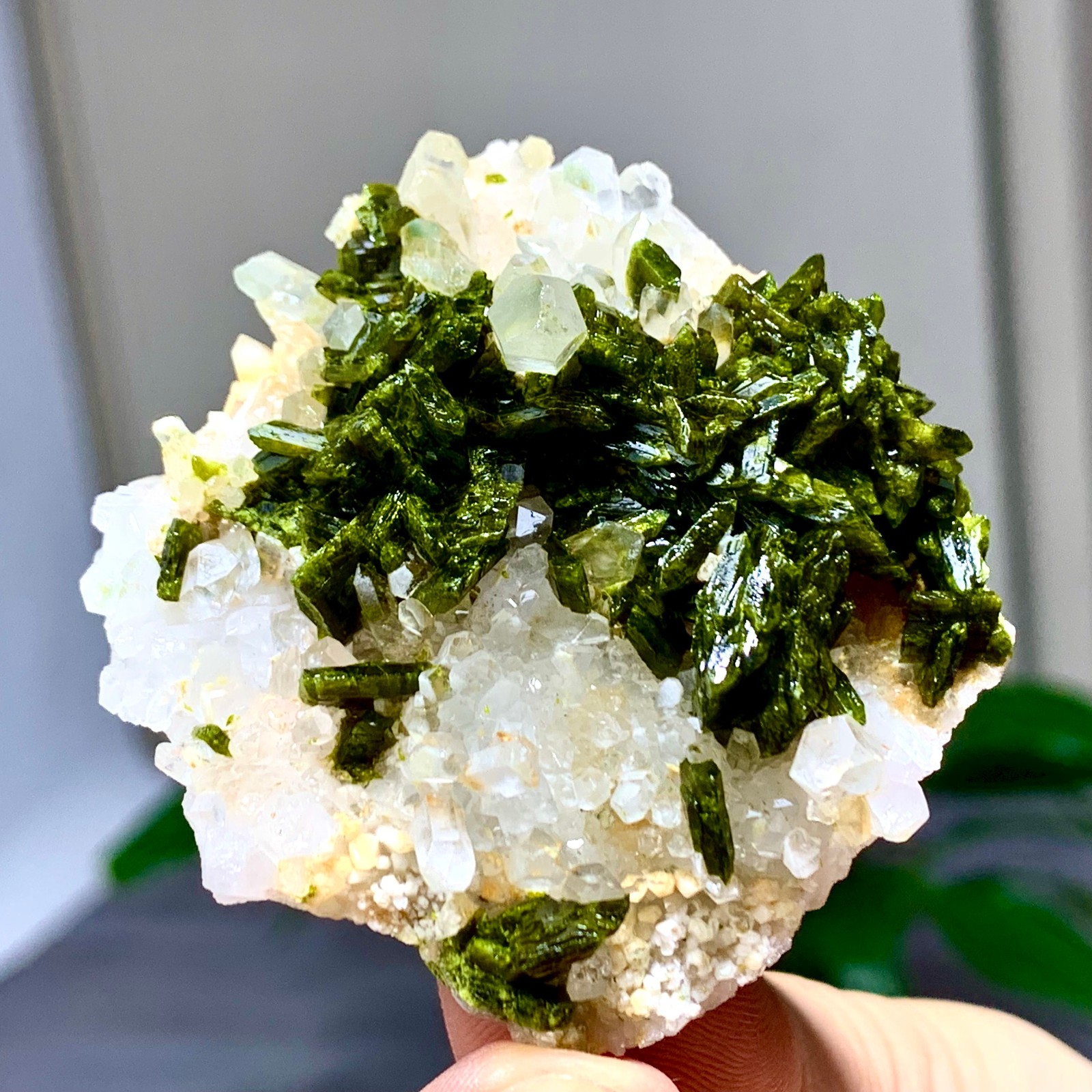 46g Natural Garden quartz cluster specimen tourmaline mineral healing SiChuan