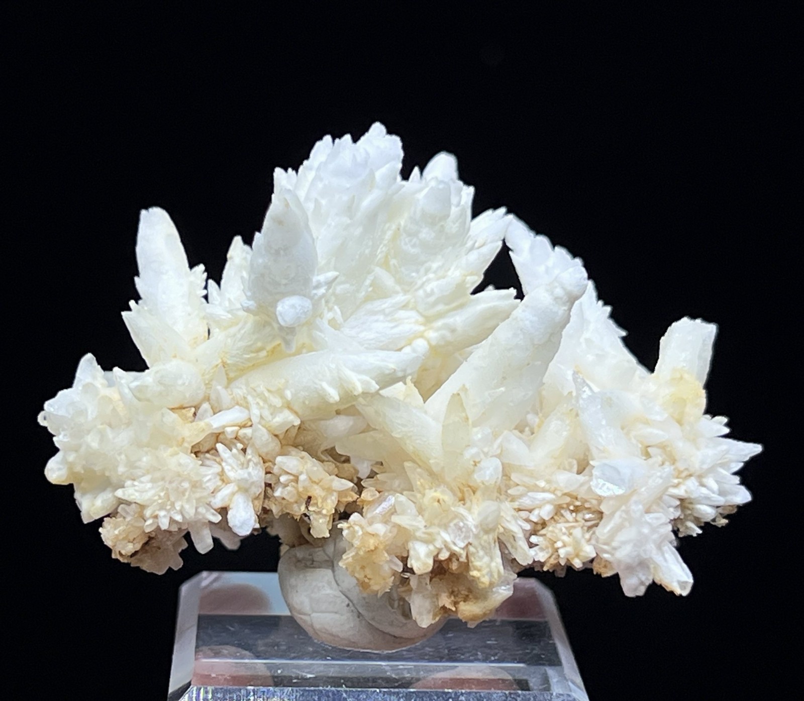 51mm Elegant Aragonite cluster, 360 degree showy, Natural Mineral Specimen