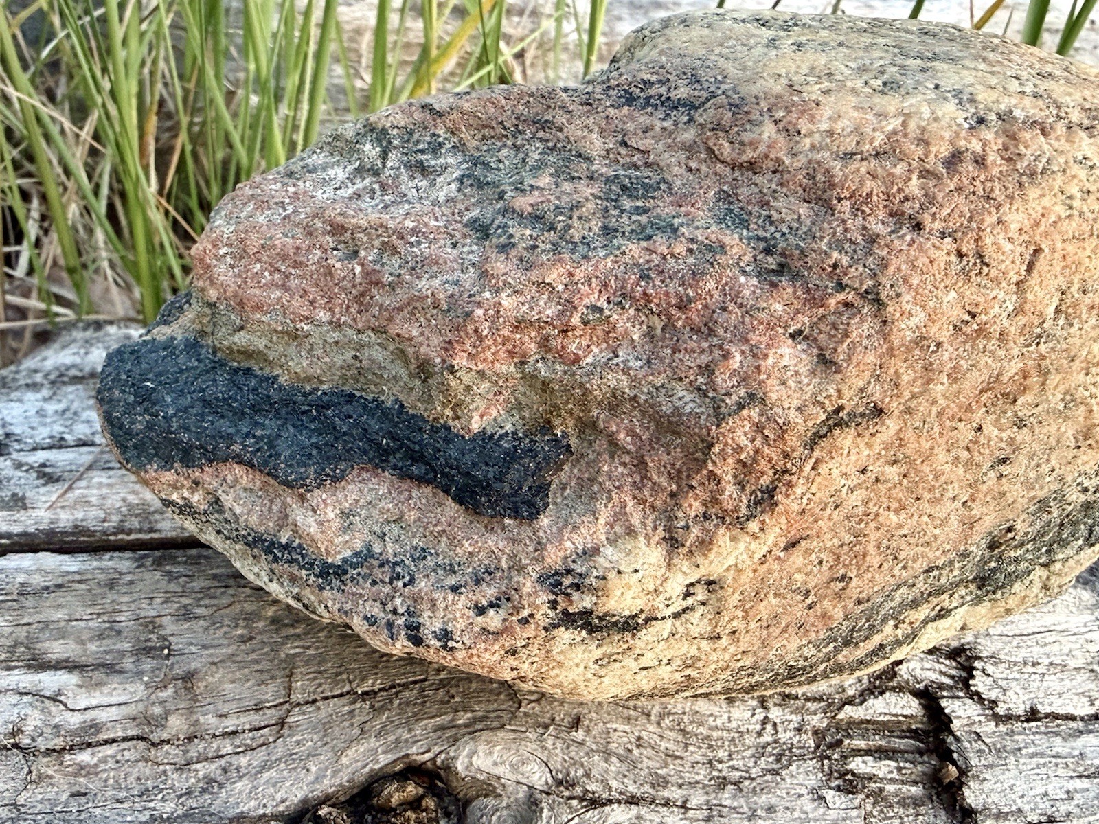 Natural Lake Michigan Rock Granite Large LOOK! 👀 3lb+ READ CAREFULLY