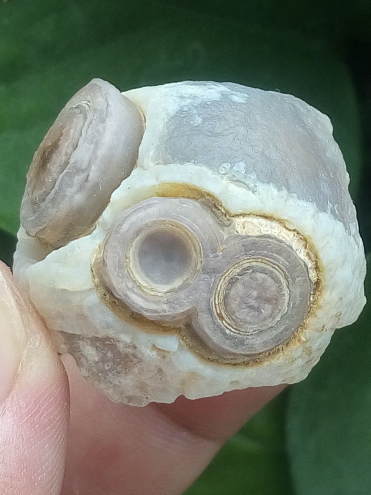 32mm Natural Gobi agate eye agate collection Landscape stone