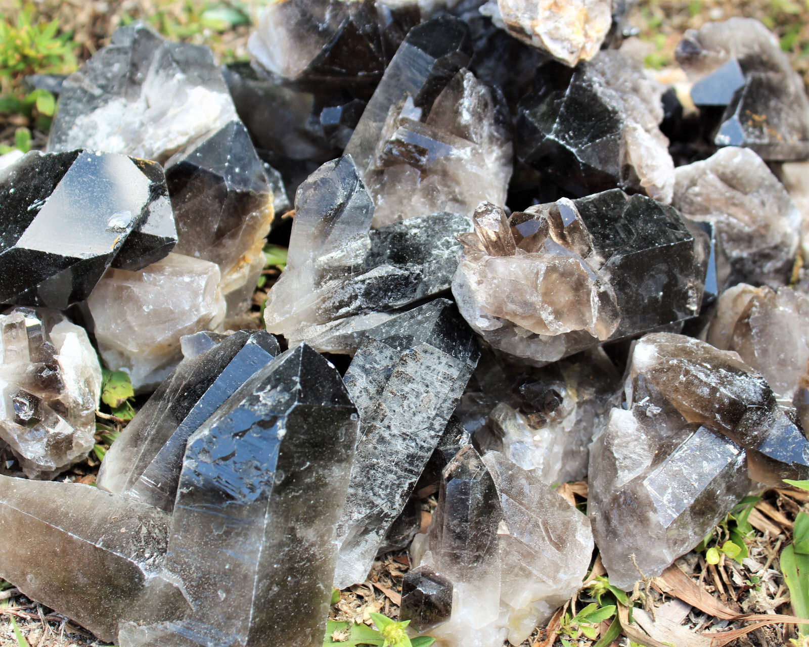 Smoky Quartz Crystal Clusters CLEARANCE Wholesale Lots (Smokey Quartz Cluster)