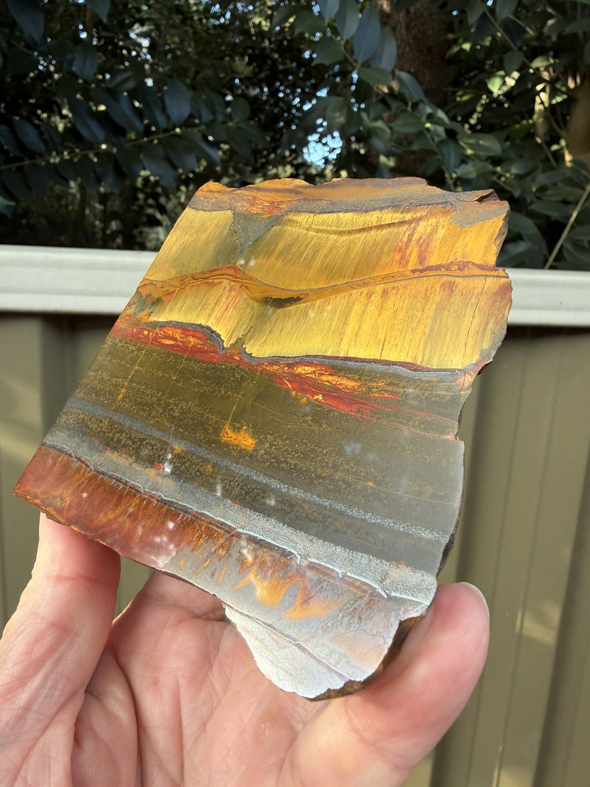 Aussie Tiger Eye – Mara Mamba W.A Polished back End Cut Slice 784g Nice