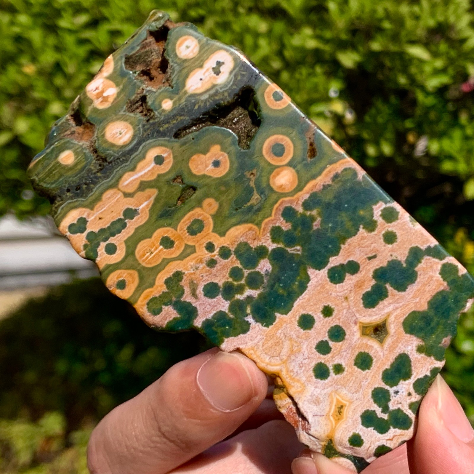 82G Natural Ocean Jasper Crystal SliceLarge Specimen Healing- Museum