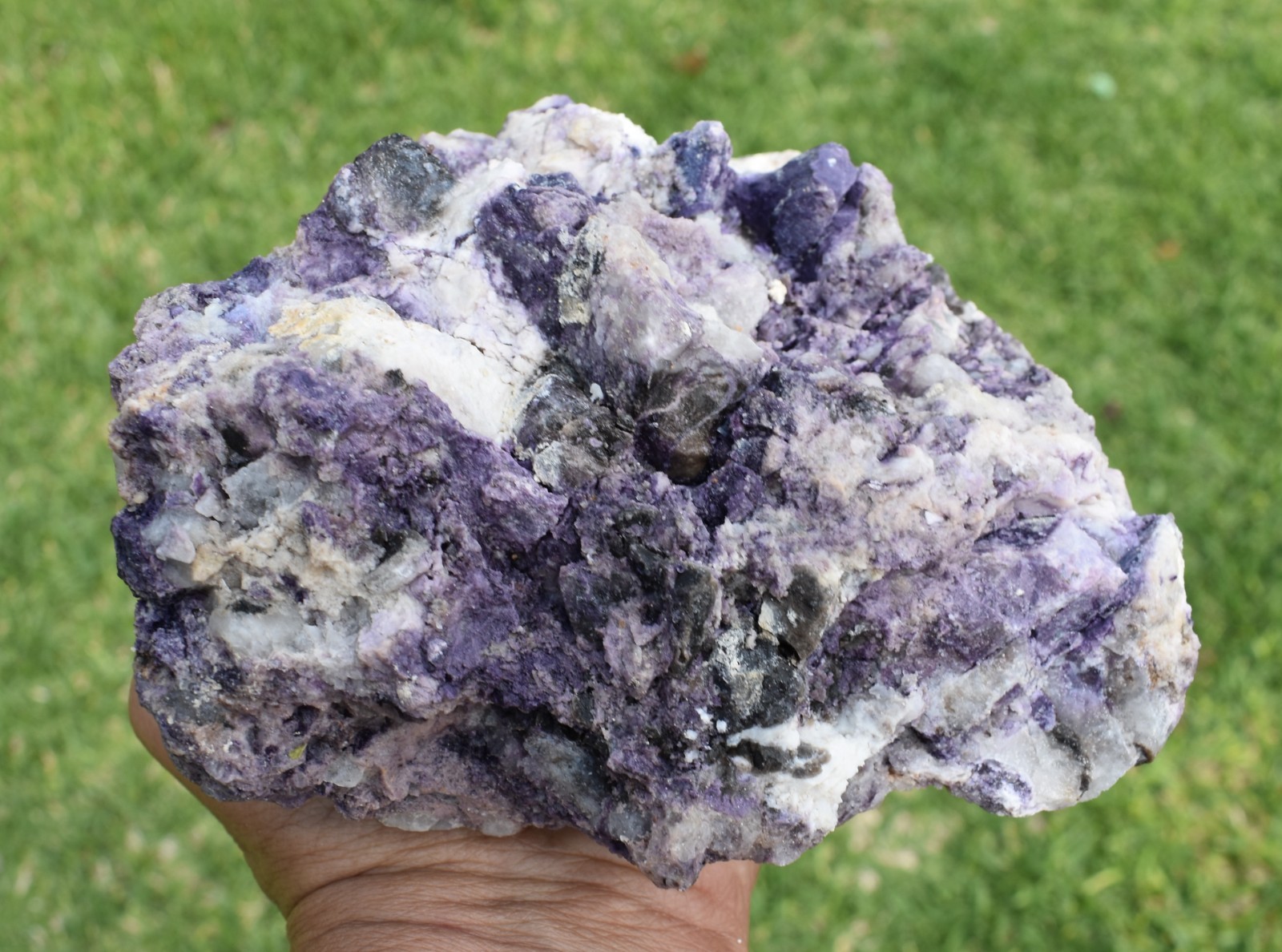2.22 LB AAA Tiffany Stone (Utah) Rough lapidary Rock (BAD)