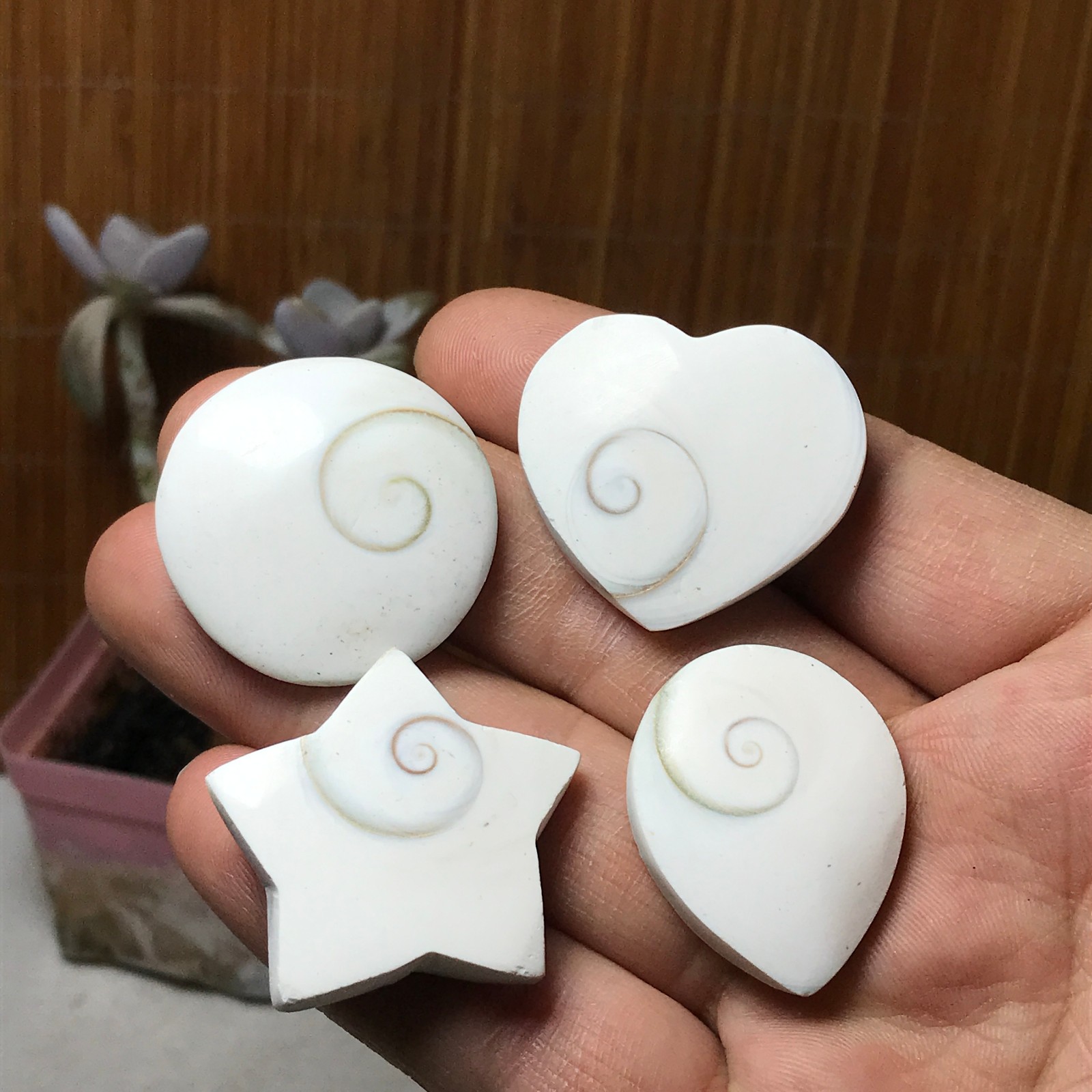 4Pcs Natural sun shell star Heart Reiki Shiva Eye ocean quartz carve A3334