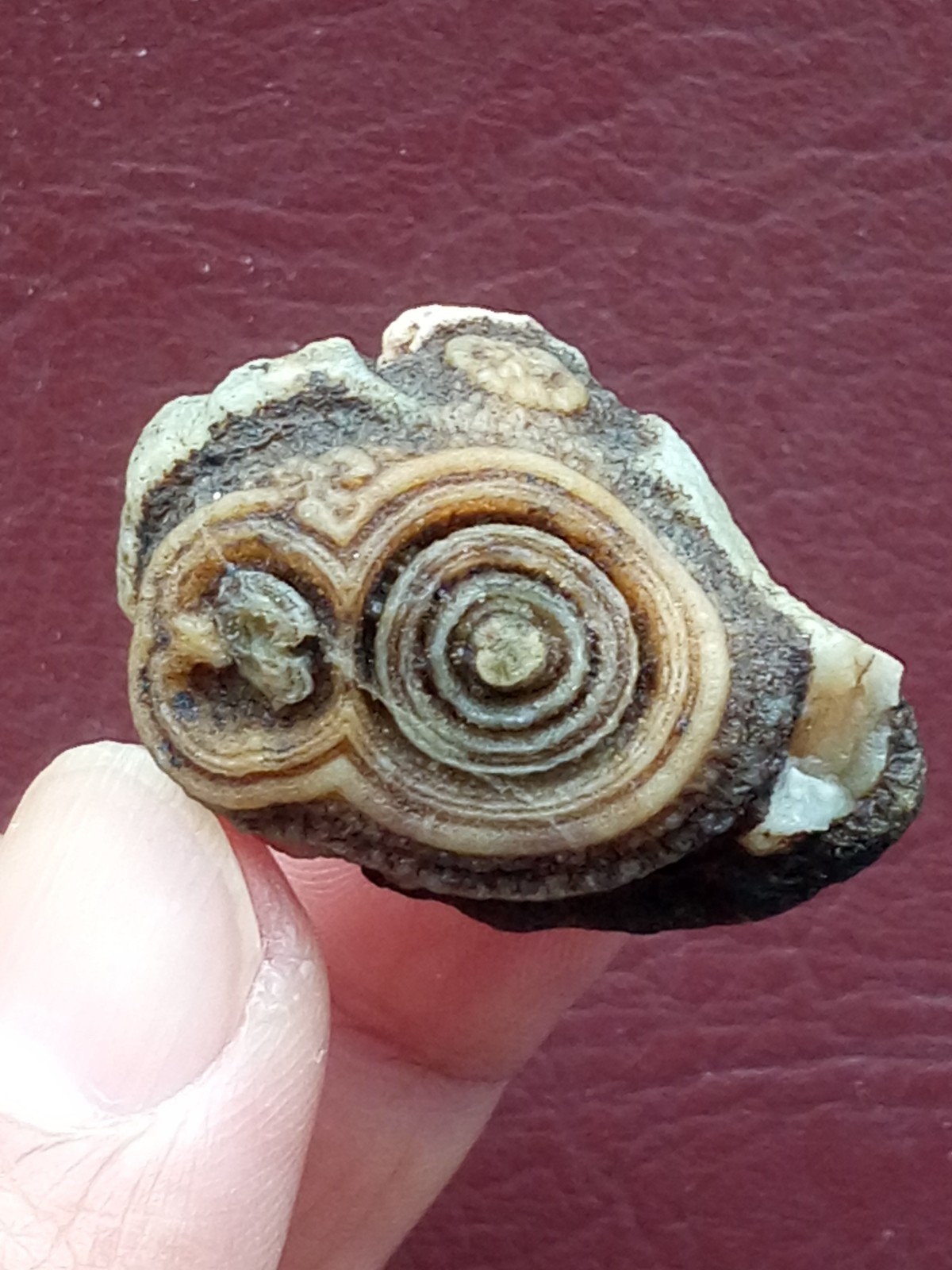 34mm Natural agate Gobi agate eye agate cute collection