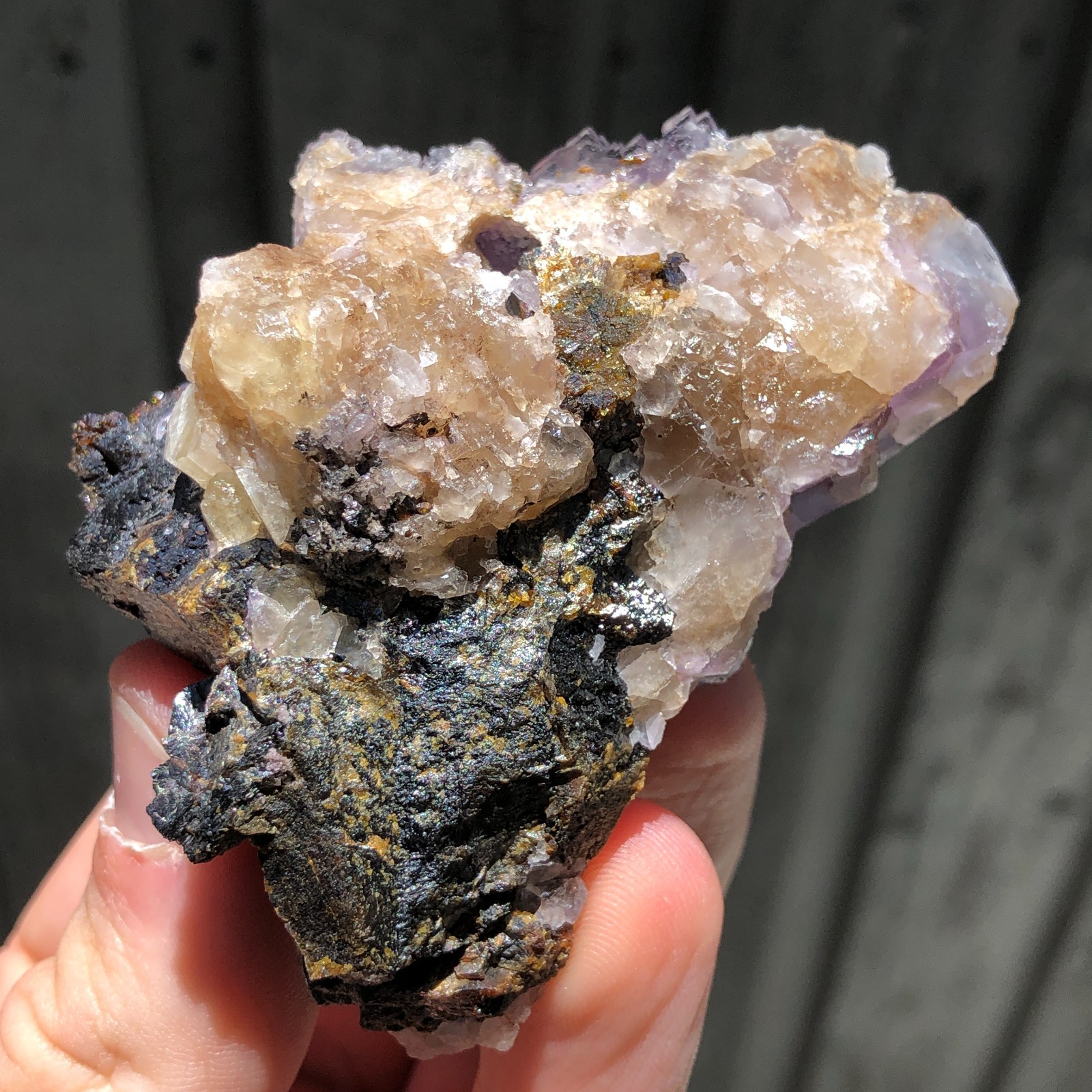 7.3cm Fluorite Crystals on Sphalerite from Minerva No. 1 Mine, Illinois, USA