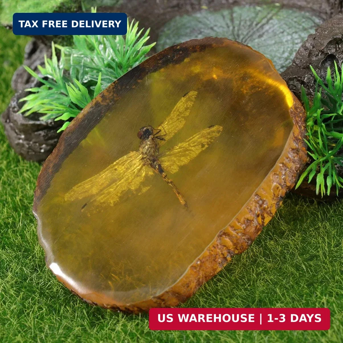Garneck Amber Specimen Pendant with Insect Inside Unique Resin Ornament for Scie