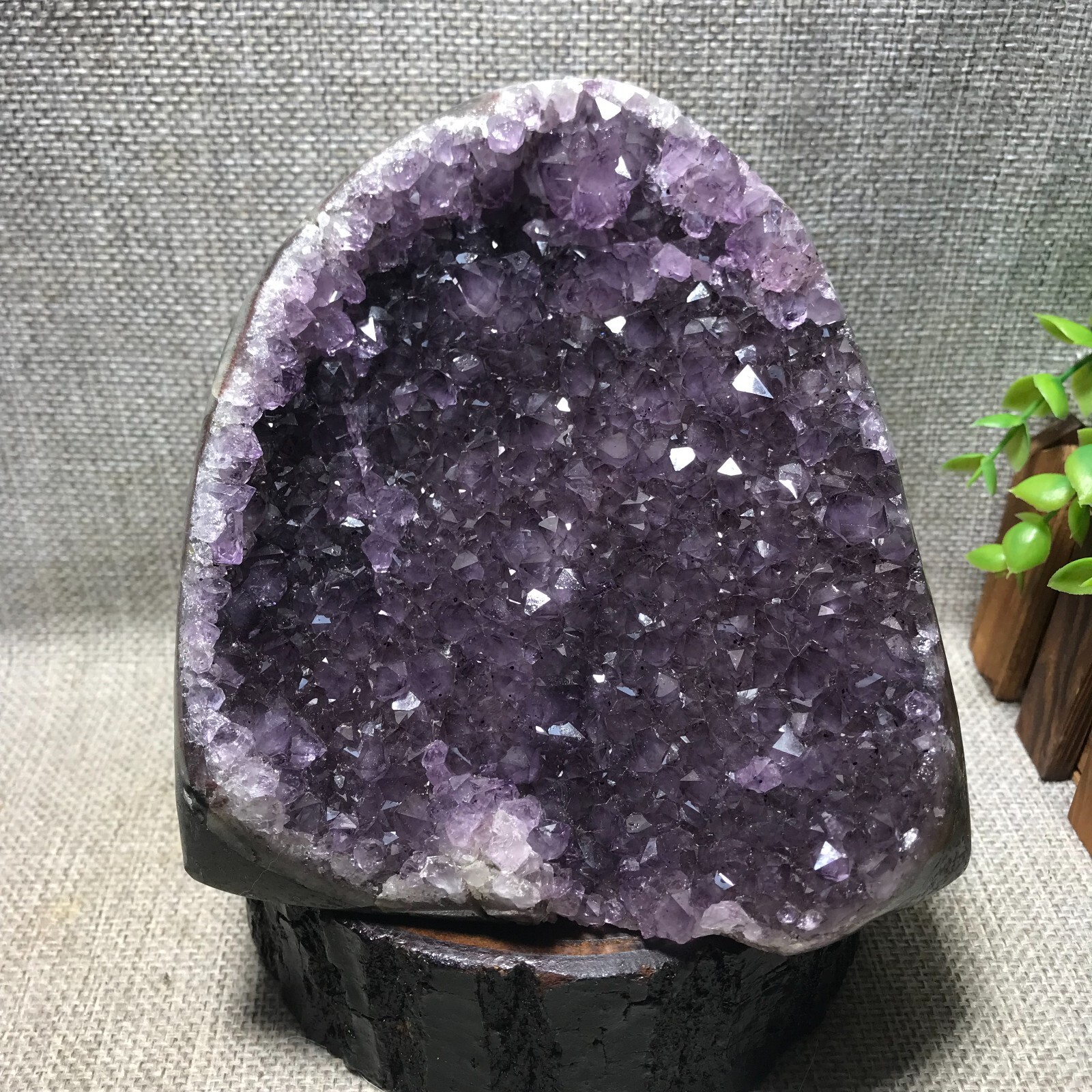 1570g Natural Amethyst Cluster Geodes Cut Base Quartz Crystal Healing 33