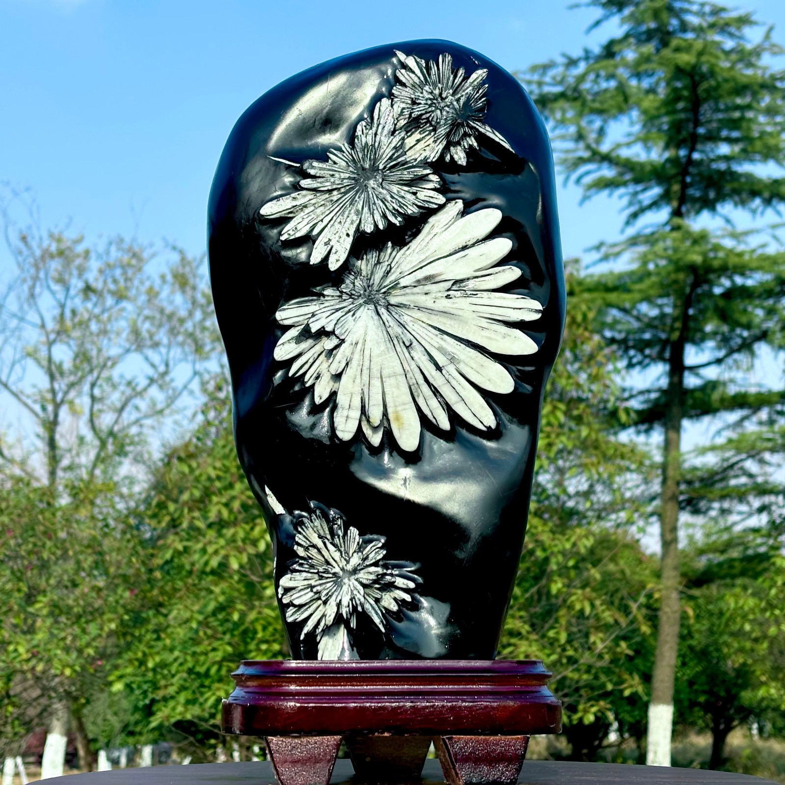 25.66LB Natural chrysanthemum stone quartz carving aura healing gift