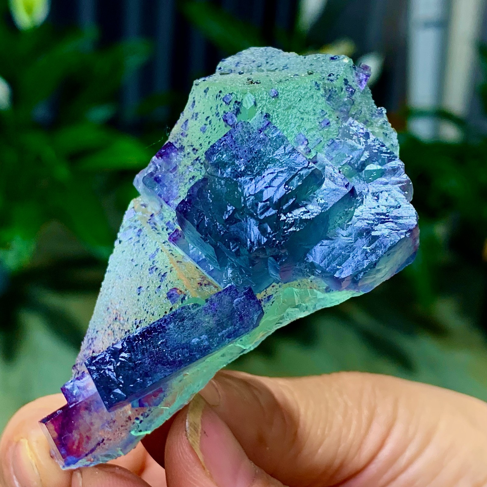 86G Rare transparent green purple cubic Zhejiang fluorite mineral sample