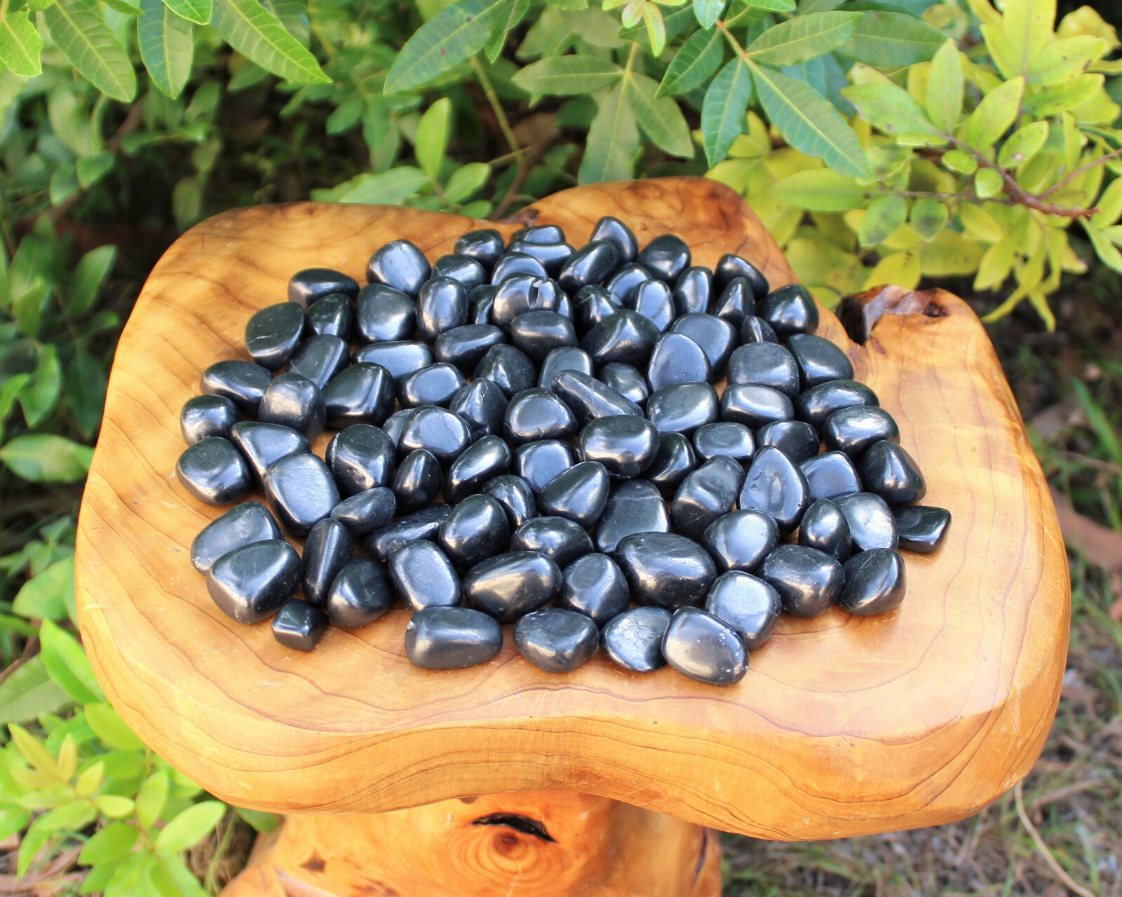 1 Shungite Specimen Tumbled Stone; Medium (Crystal Healing Gemstone Reiki)