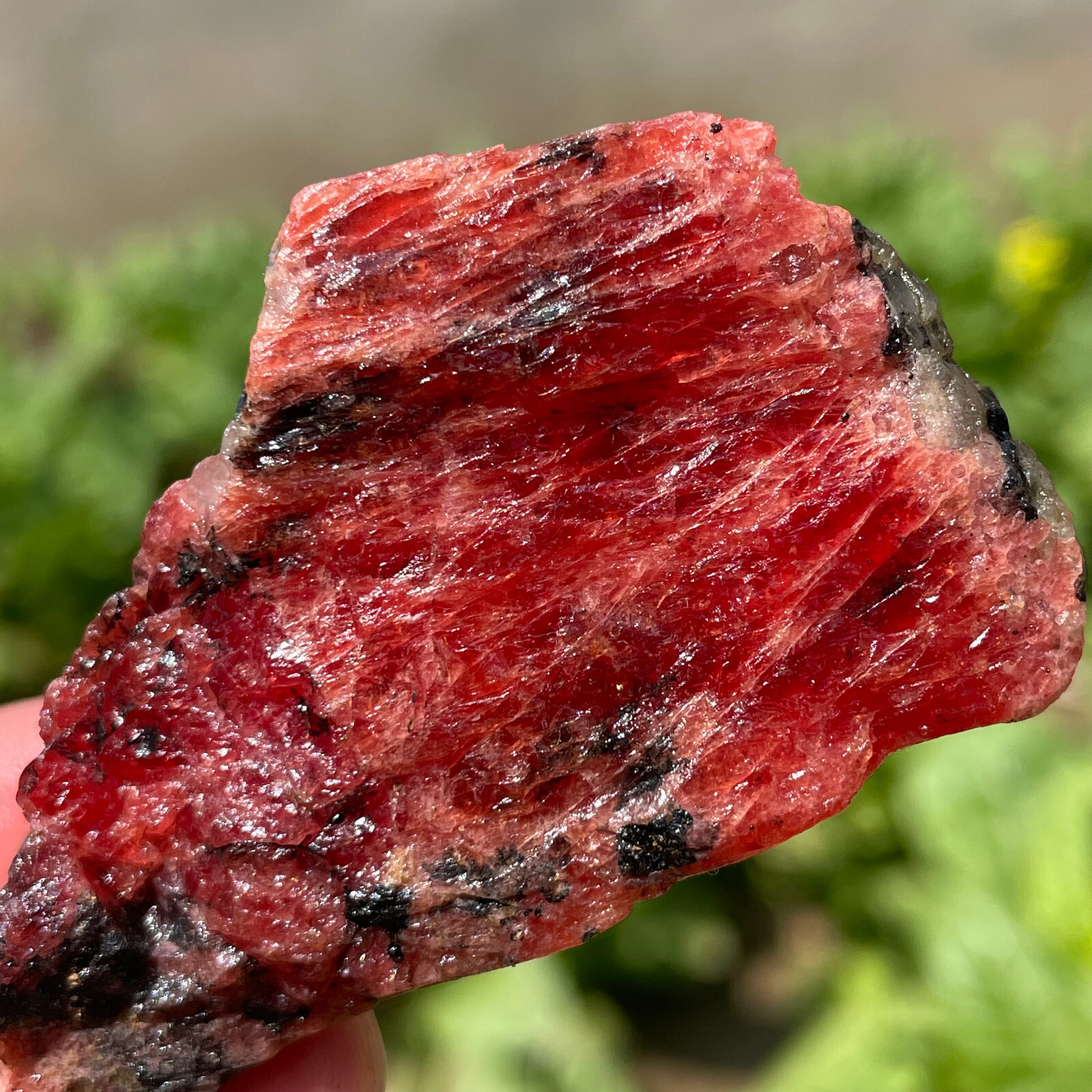 65g Small Rough Stone Natural Red Black Rhodonite Quartz Crystal Specimen