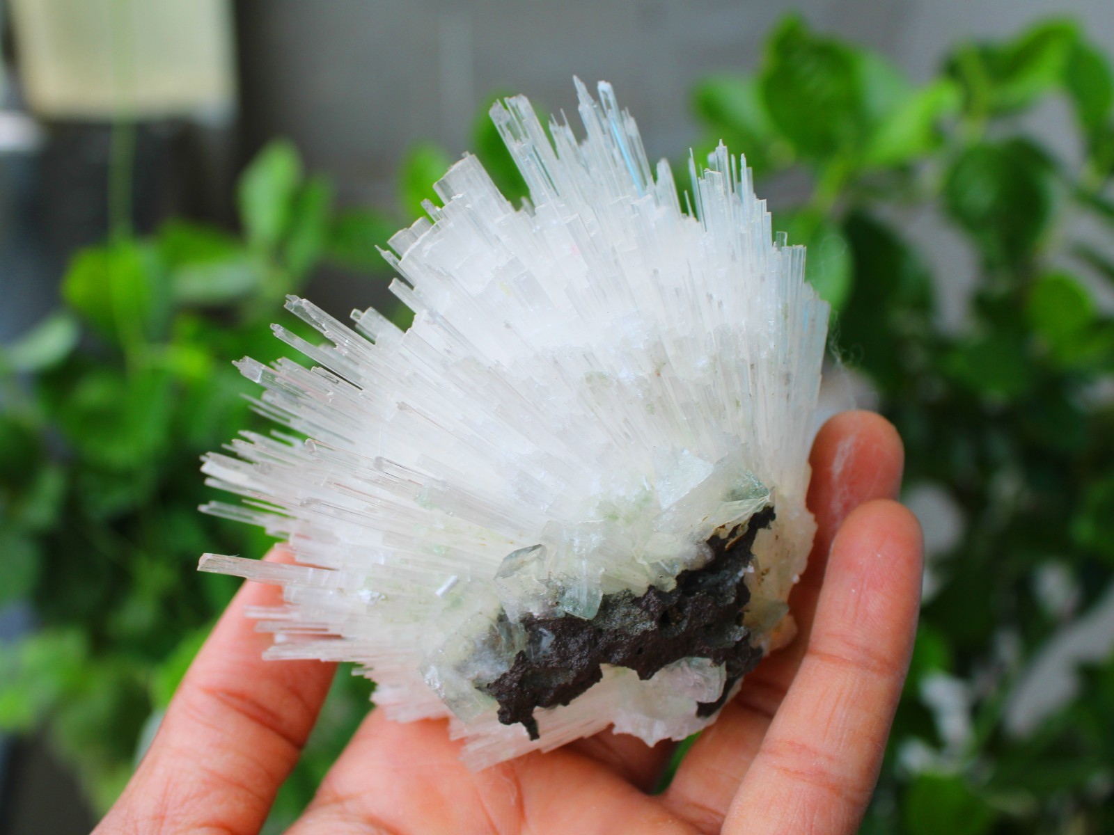SCOLECITE FORMATION MINERALS SPECIMEN