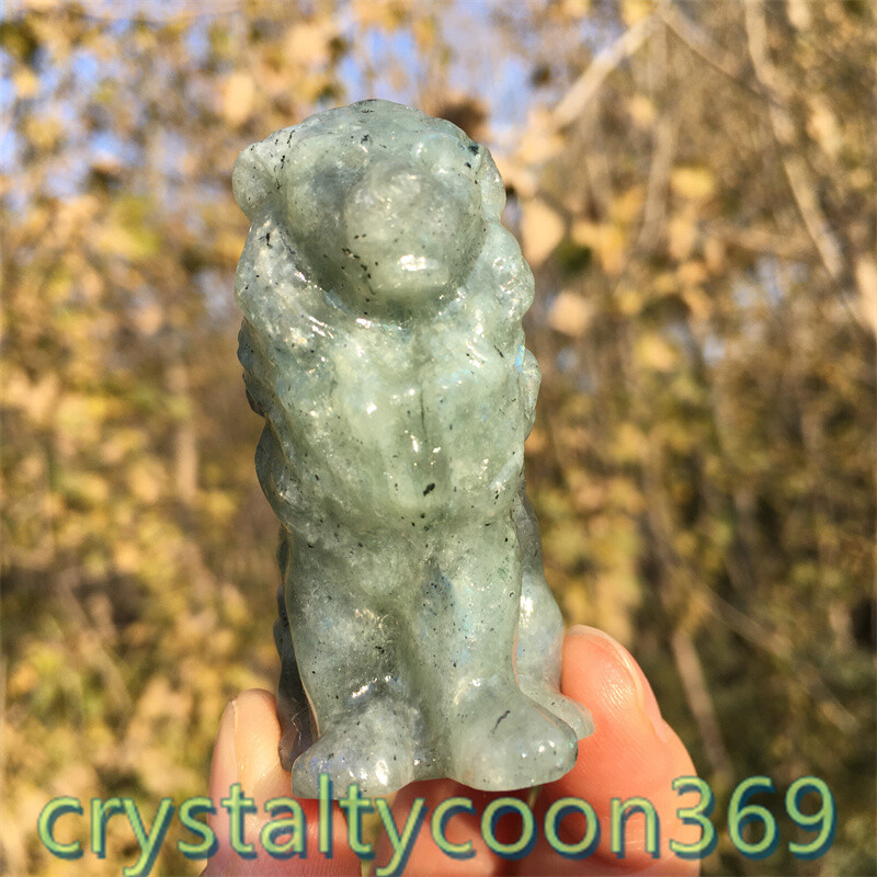 2″+ Natural Labradorite Quartz Carved Lion Crystal Gift Skull Reiki Healing 1pc