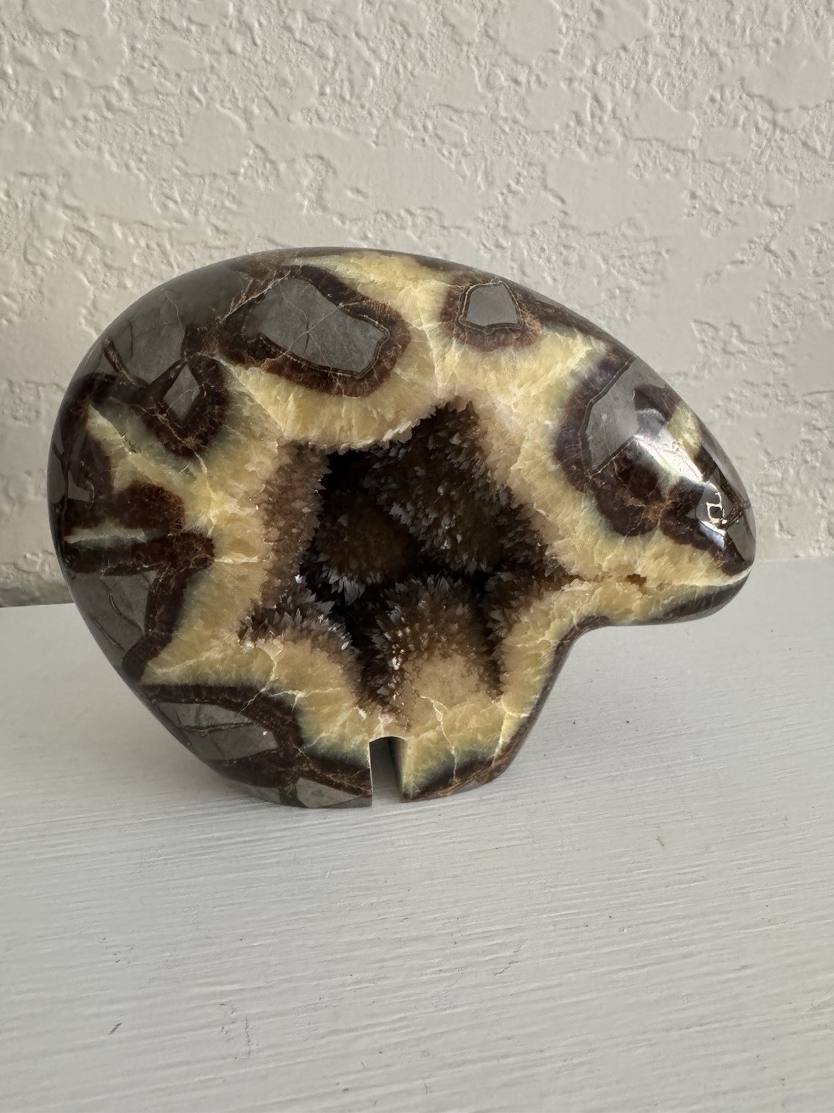 Septarian Nodule Bear Large Figurine Hand Carved Dragon Stone Crystal Sculpture