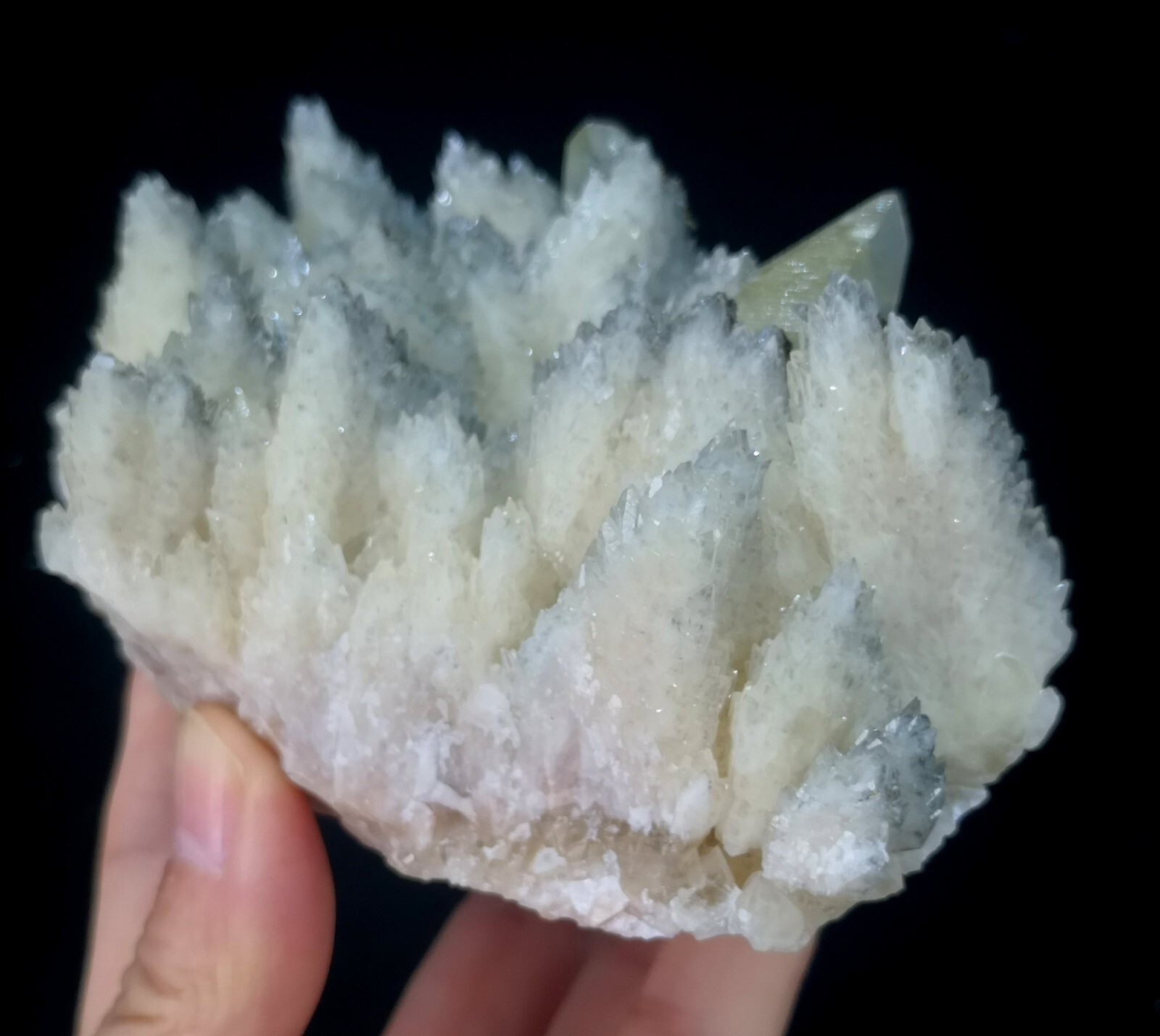 125mm 526g Dog-teeth Calcite & Chalcopyrite on ‘White Dragon Scale’ Calcite