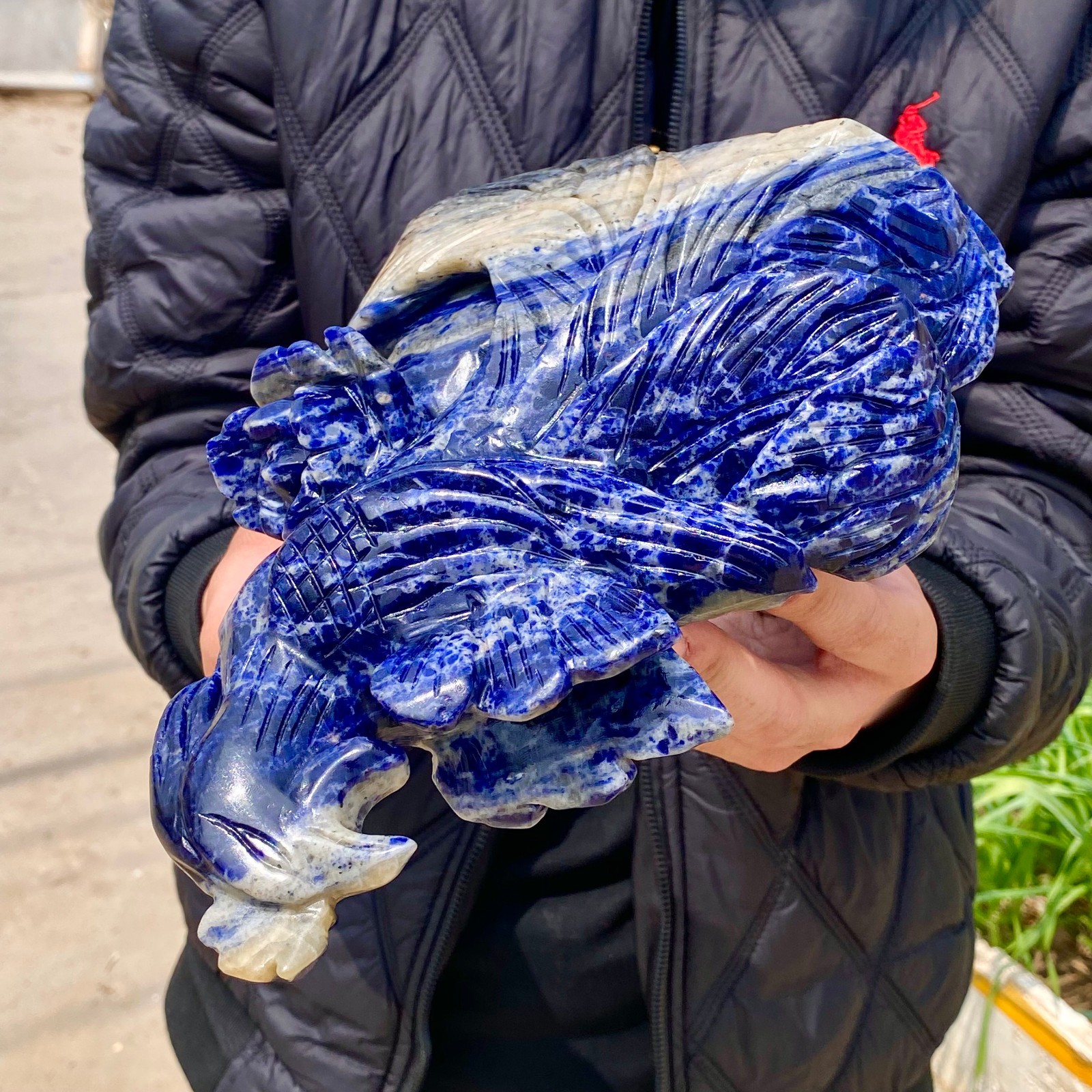 6.1LB Natural Blue Texture Crystal Carving Phoenix Rose Spiritual Energy