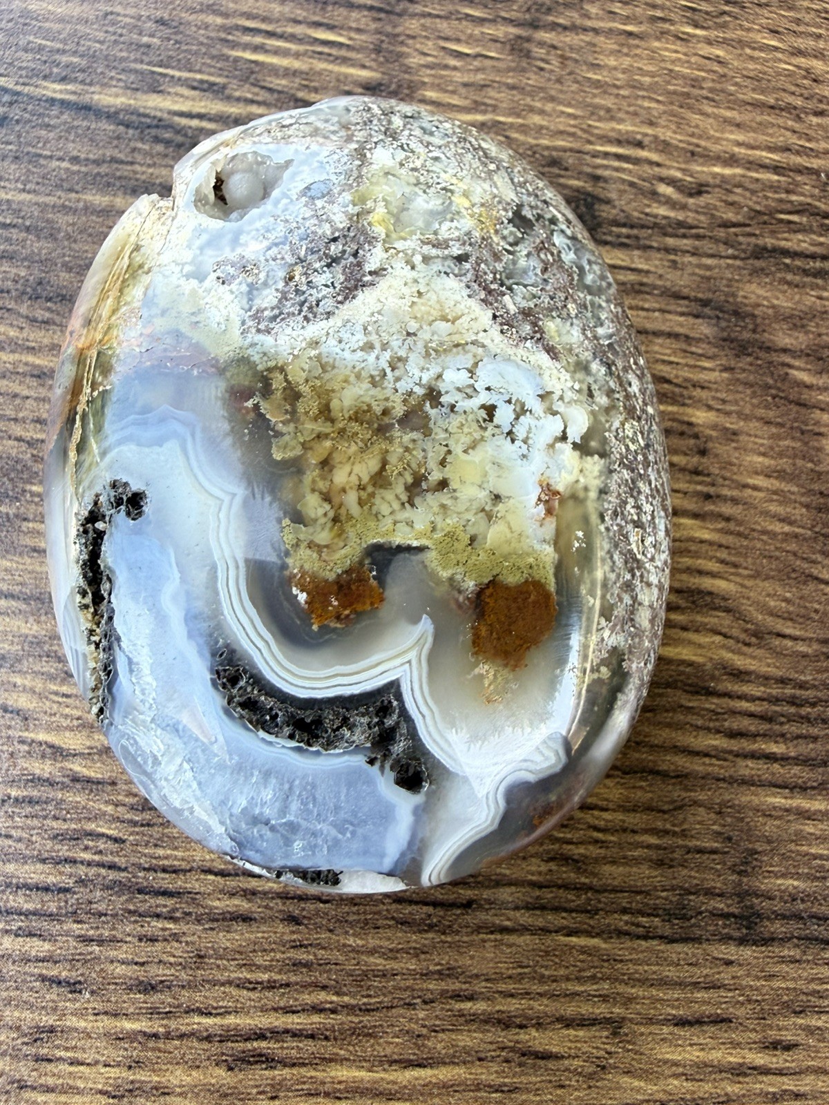 Authentic Scenic Moss Agate Crystal Palm Stone From Indonesia,Collector, gift