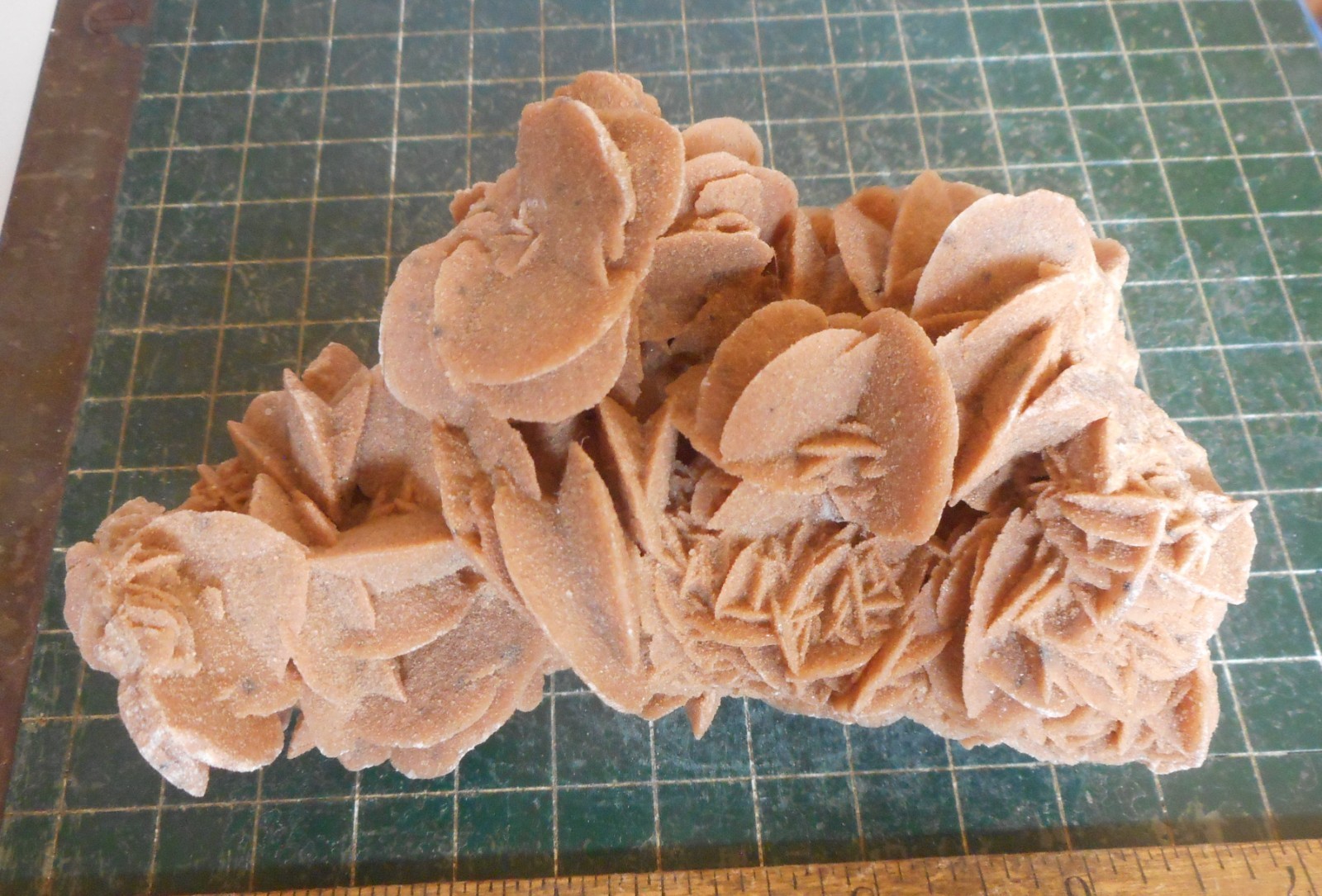 Desert Rose Selenite. Natural. Gypsum. Morocco 5.3″ (13.5 cm). 0.95 Lb