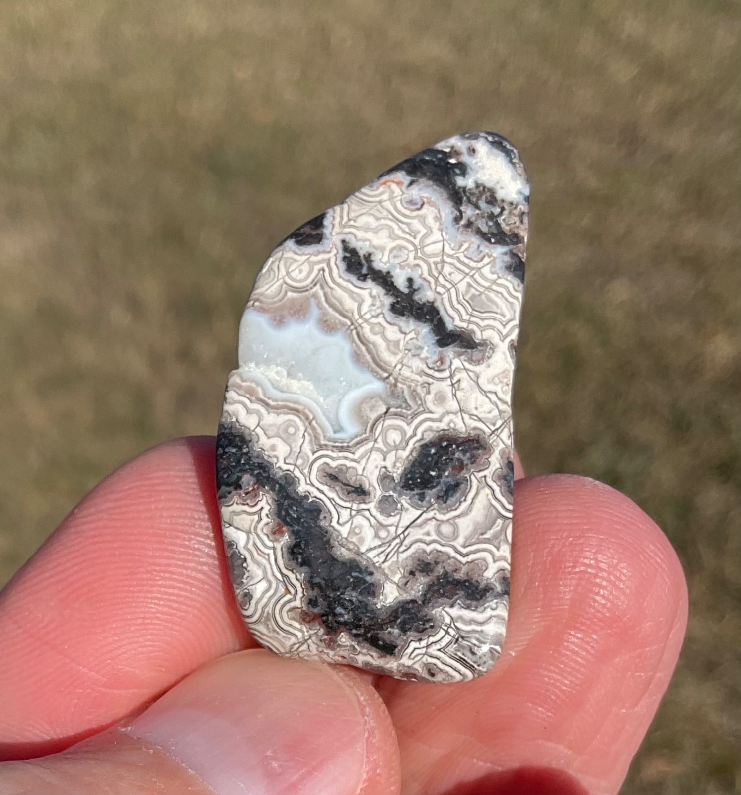 Polished Crazy Lace Agate Cabochon Preform Lapidary Gemstone High Grade