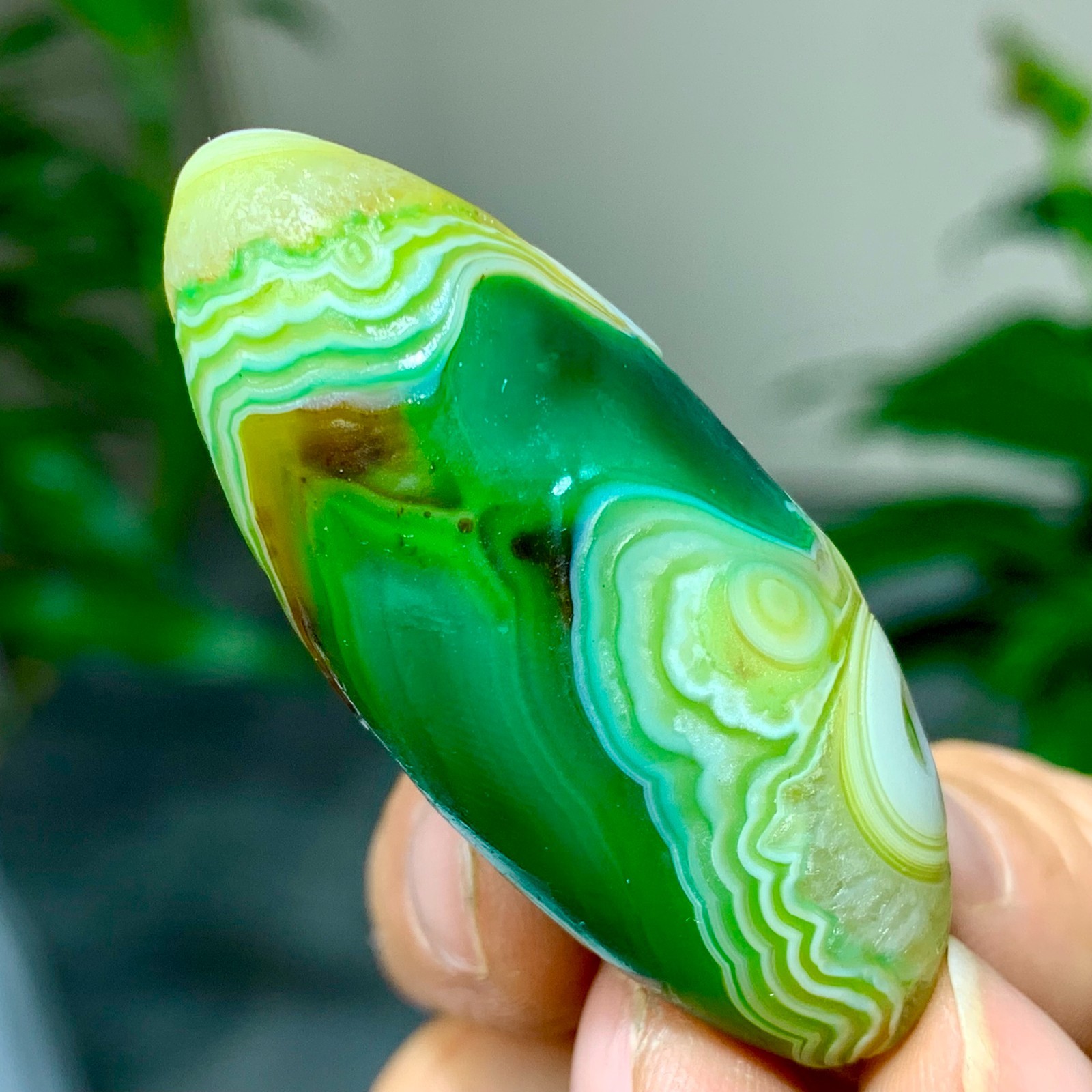 28G Natural green gobi agate eye crystal Circular pattern mineral healing B205