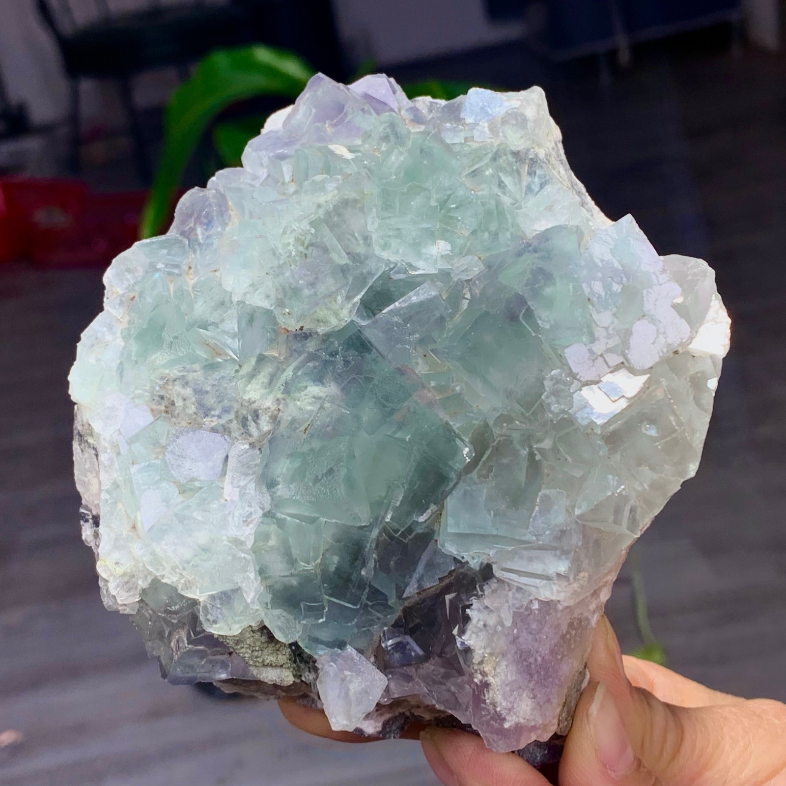 1.87LB Natural transparent green cubic fluorite mineral crystal sample/China