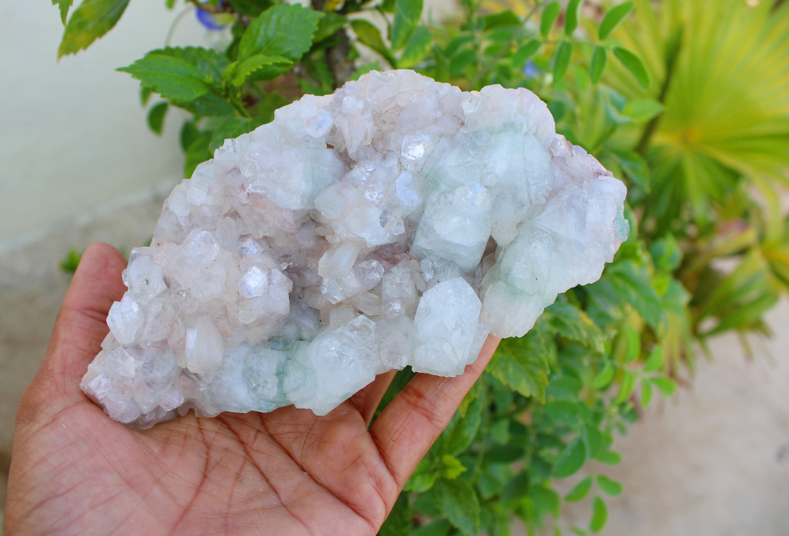 GREEN APOPHYLLITE CRYSTALS ON MATRIX MINERALS SPECIMEN #A43