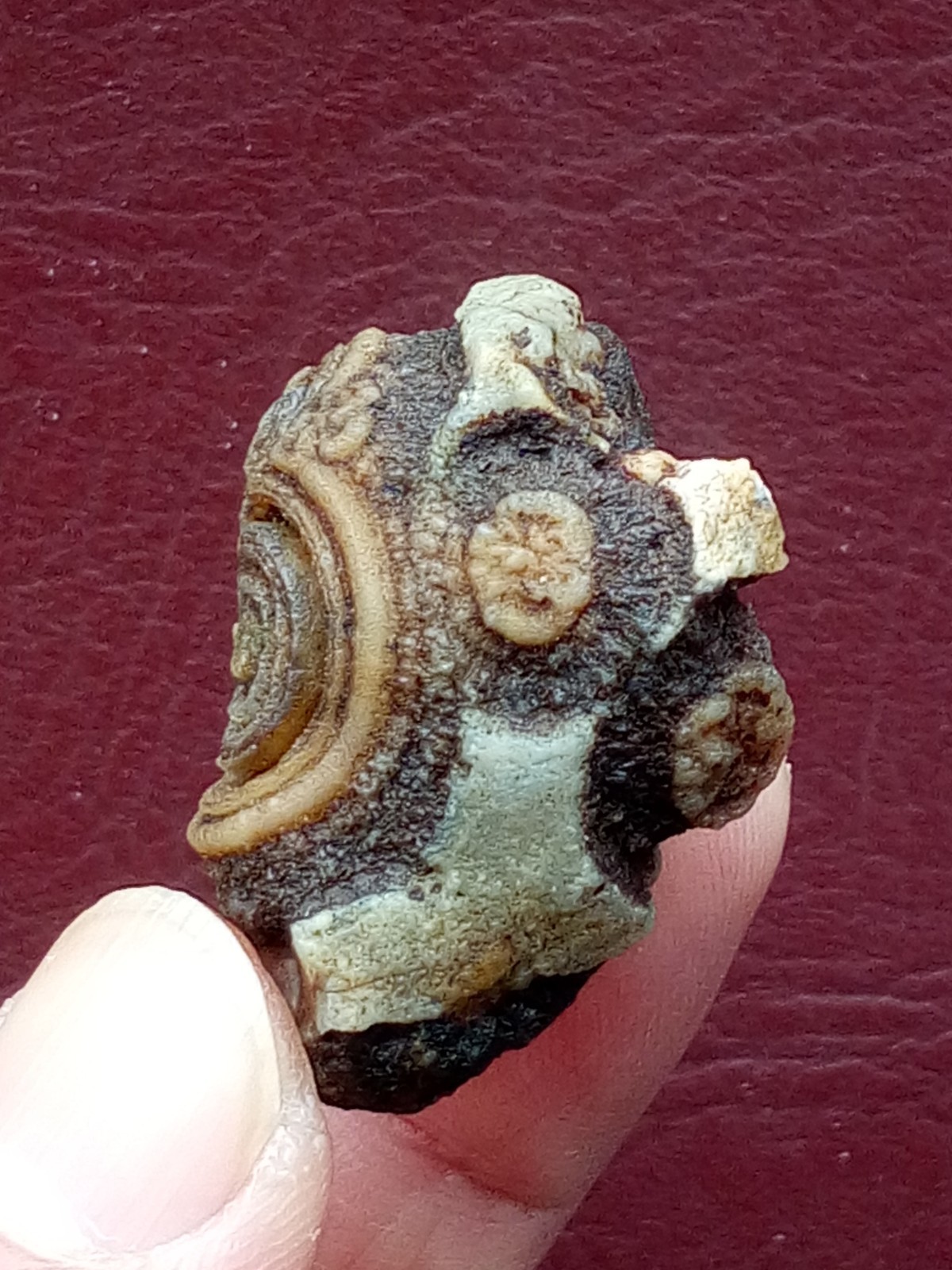 34mm Natural agate Gobi agate eye agate cute collection