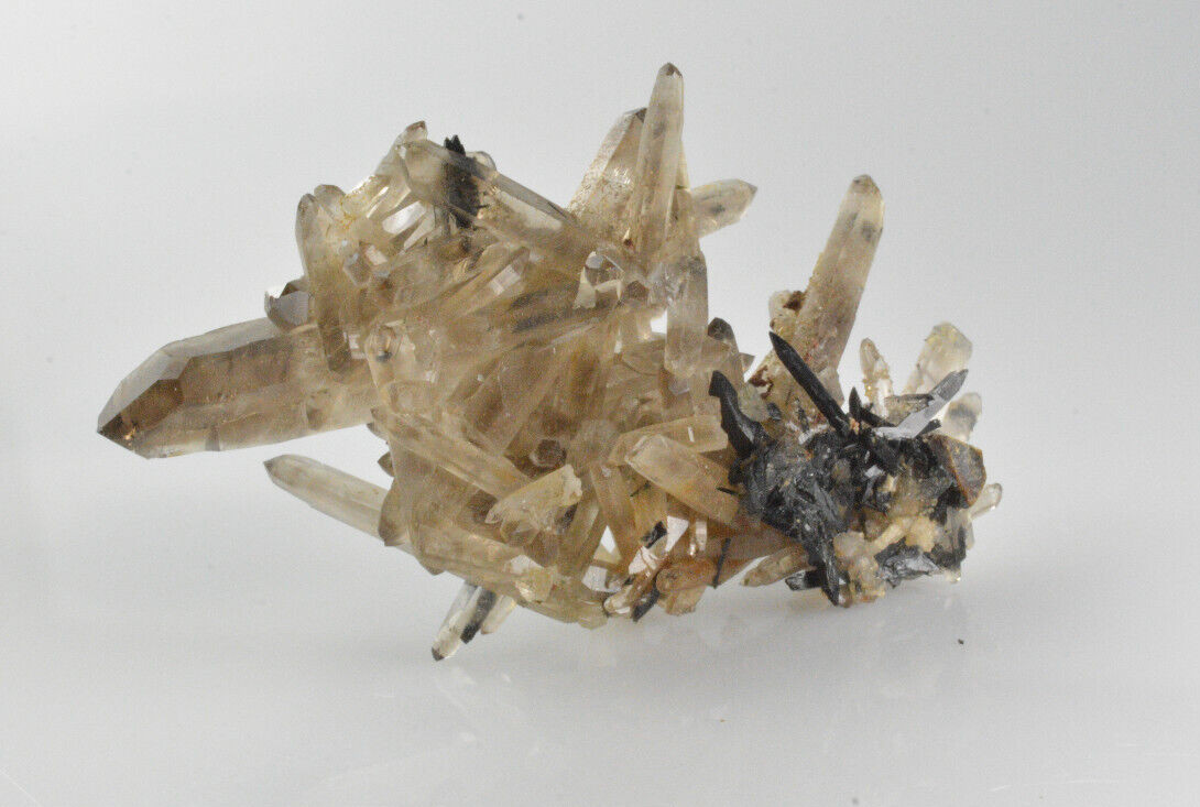 Smoky Quartz, Aegirine Mt Malowsa, Malawi 49x34mm