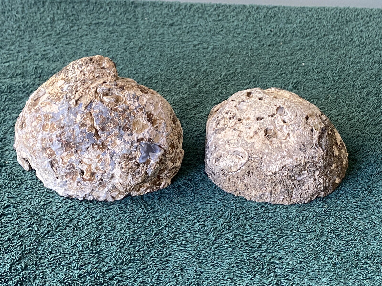 TWO (2) BEAUTIFUL LARGE NATURAL GEODE HALFS~AUTHENTIC & UNUSUAL~EXCELLENT ITEMS