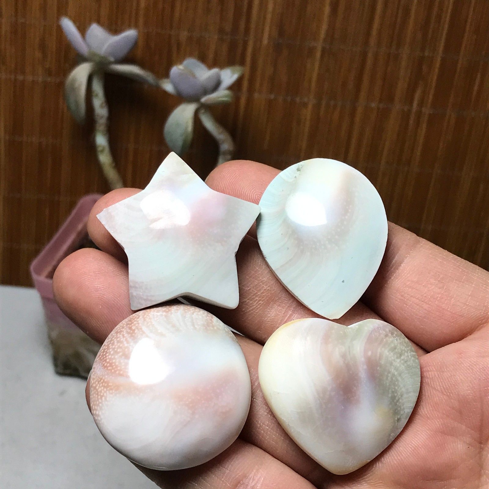4Pcs Natural sun shell star Heart Reiki Shiva Eye ocean quartz carve A3332