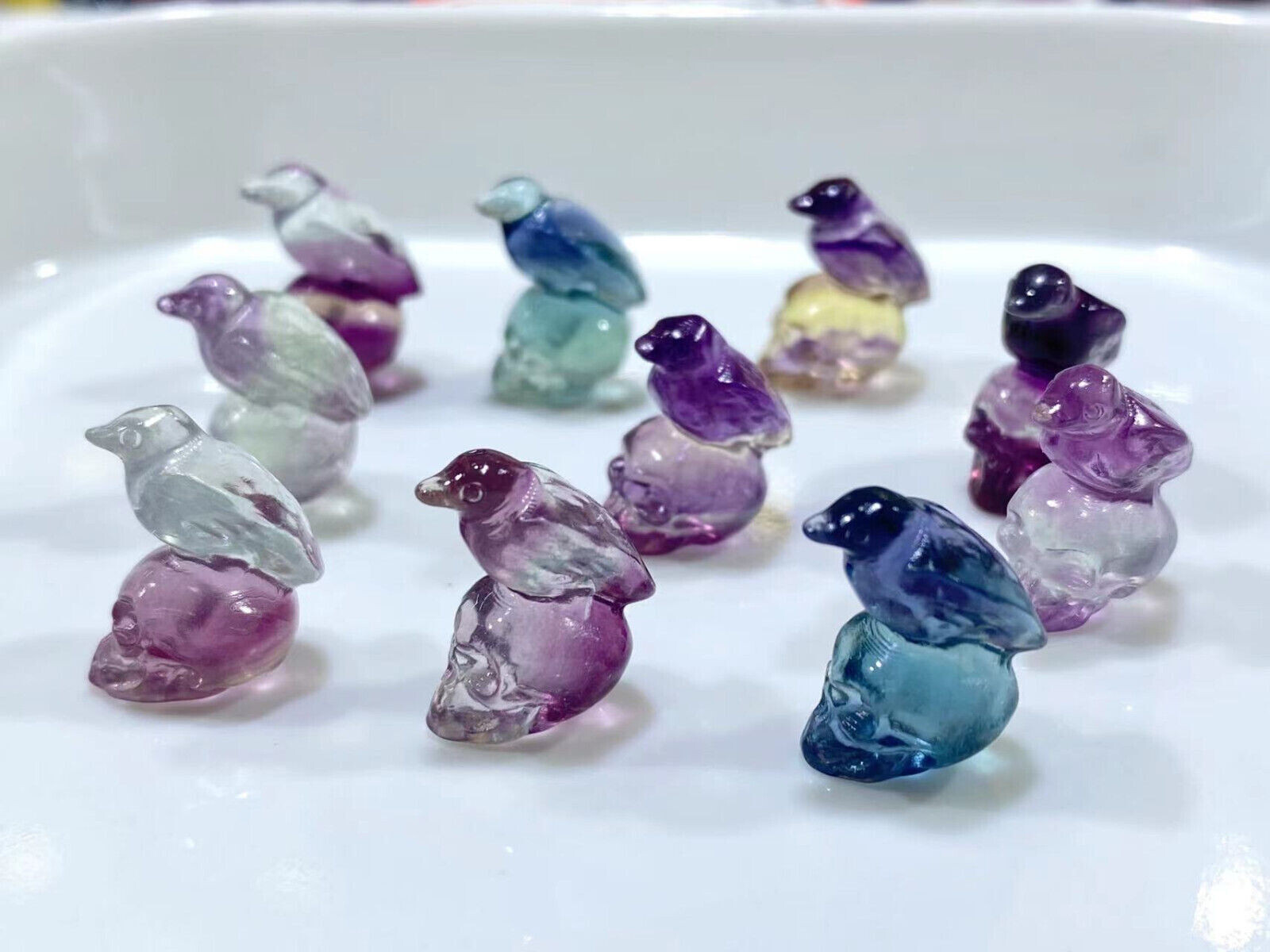 5pc Natural fluorite carved mini bird skull quartz crystal reiki healing decor