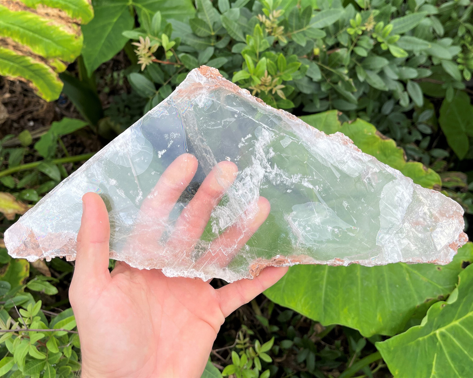 JUMBO Natural Selenite Slabs & Stand! Raw Selenite Slice, Selenite Crystal Plate