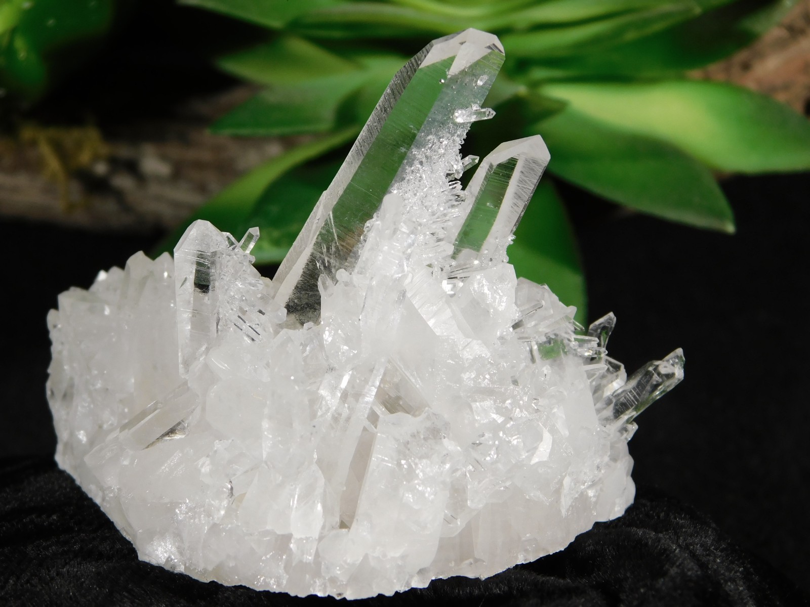 SUPER! TRANSLUCENT Quartz Crystal Cluster Collier Creek ARKANSAS 75.2gr