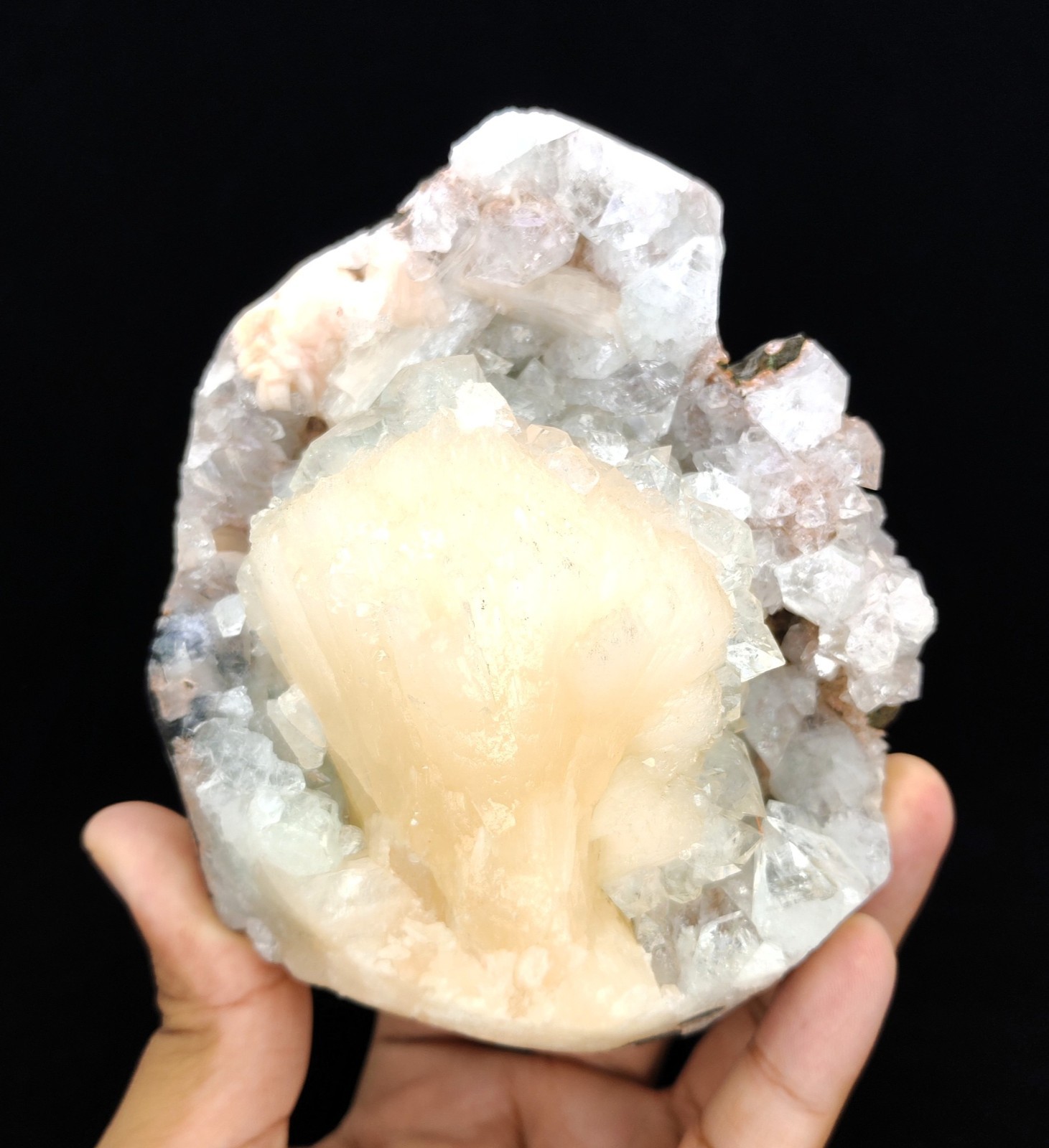 Natural Bow Tie Stilbite with Pointed Shiny Apophyllite On Base Minerals #491